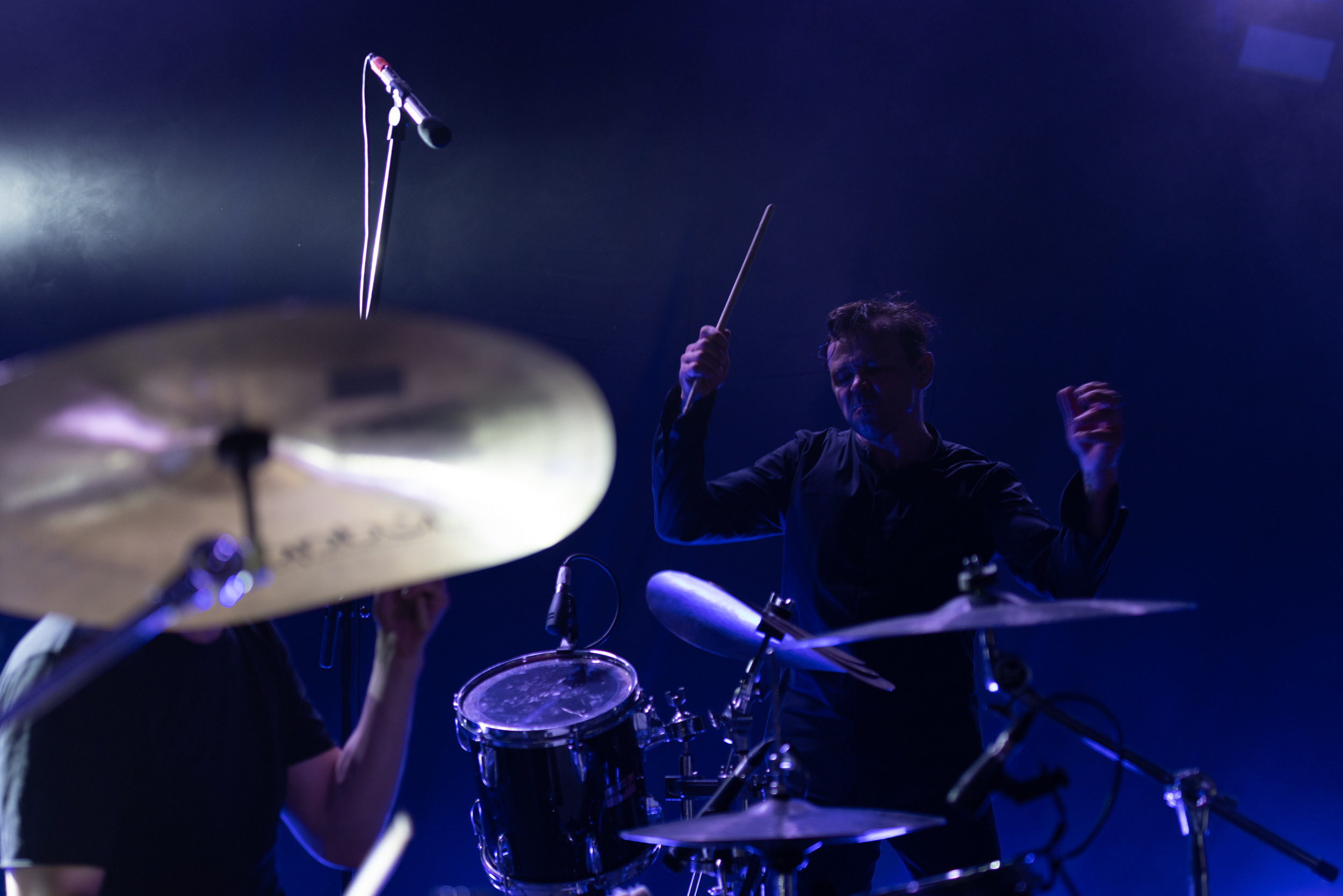 Dolphin. Astrakhov Pavel, photographer and artist