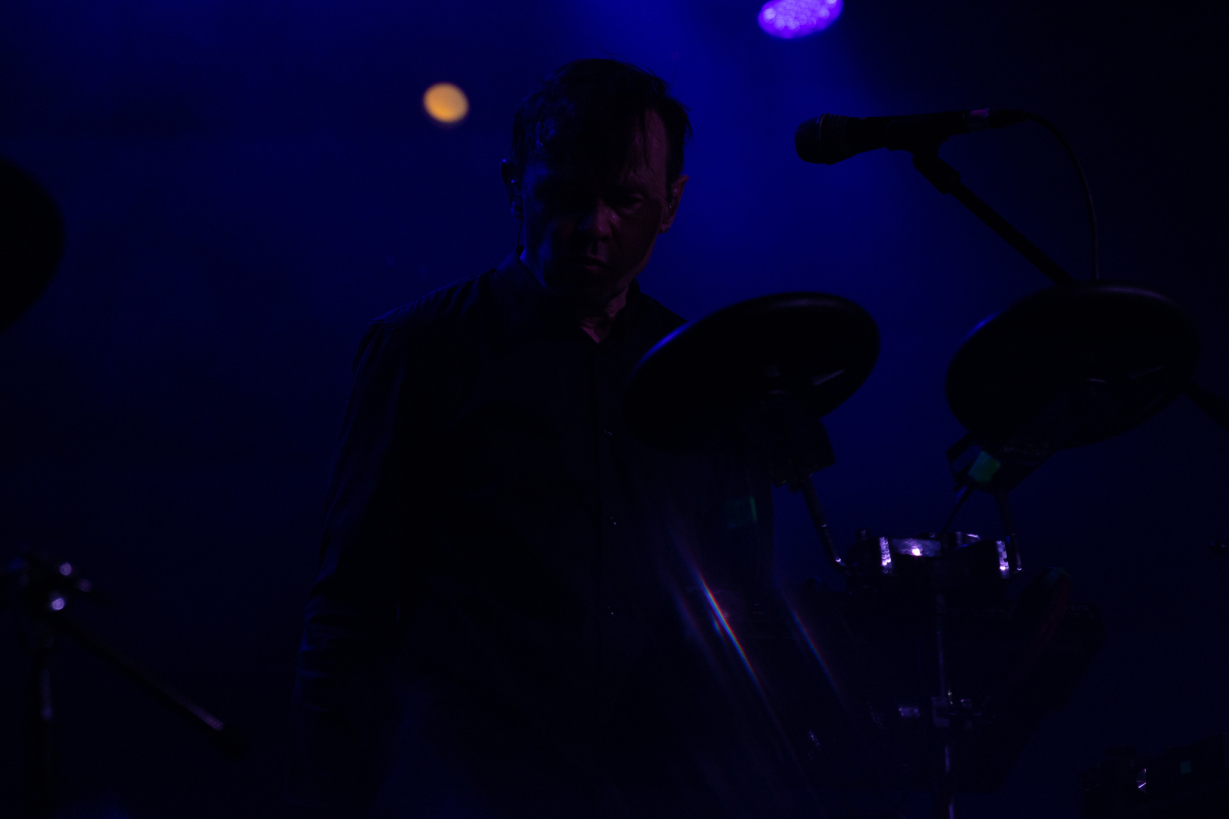 Dolphin. Astrakhov Pavel, photographer and artist