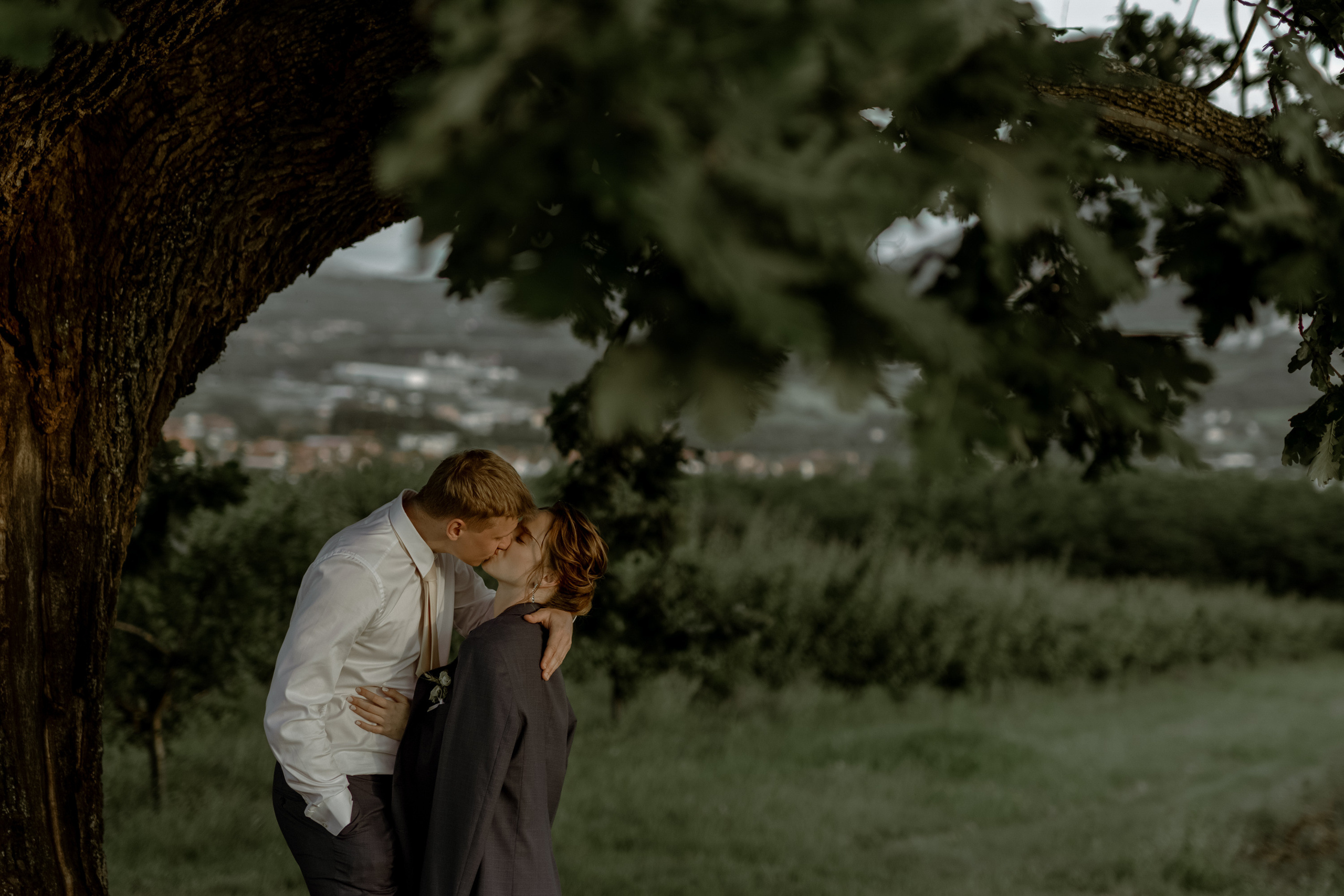 Wedding Vinarija Tarpos. Фотограф и художник Астрахов Павел