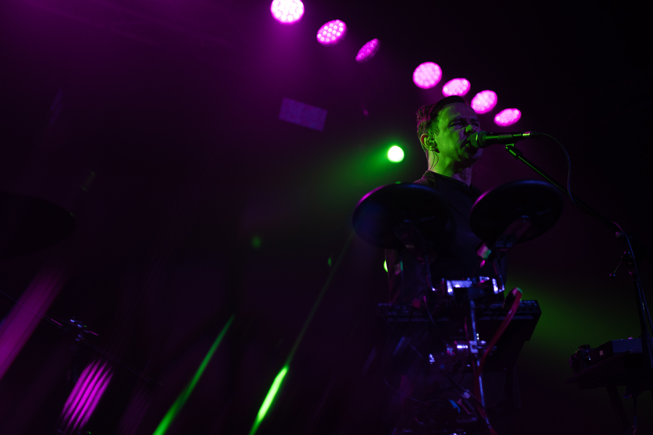 Dolphin. Astrakhov Pavel, photographer and artist