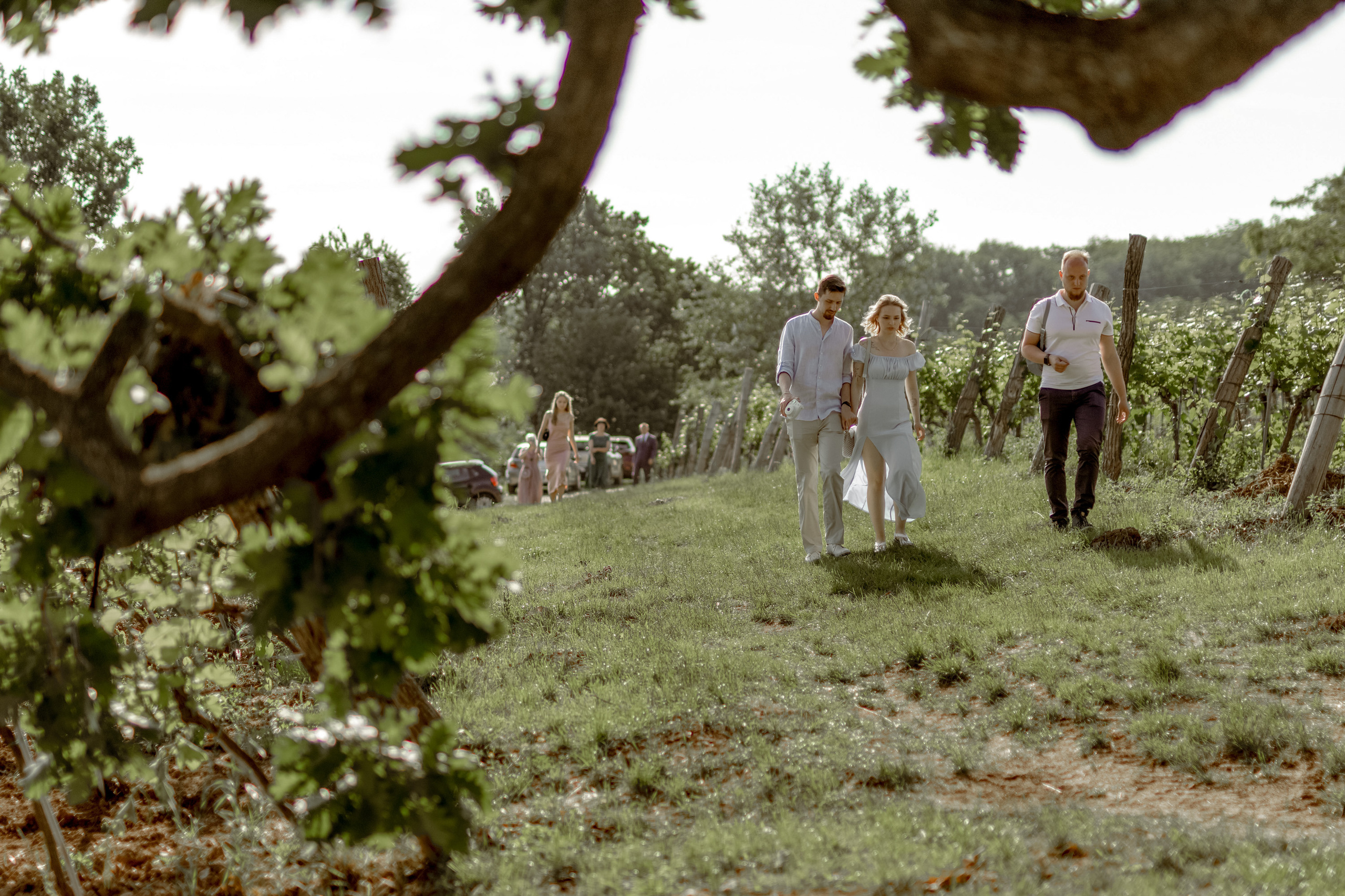 Wedding Vinarija Tarpos. Фотограф и художник Астрахов Павел