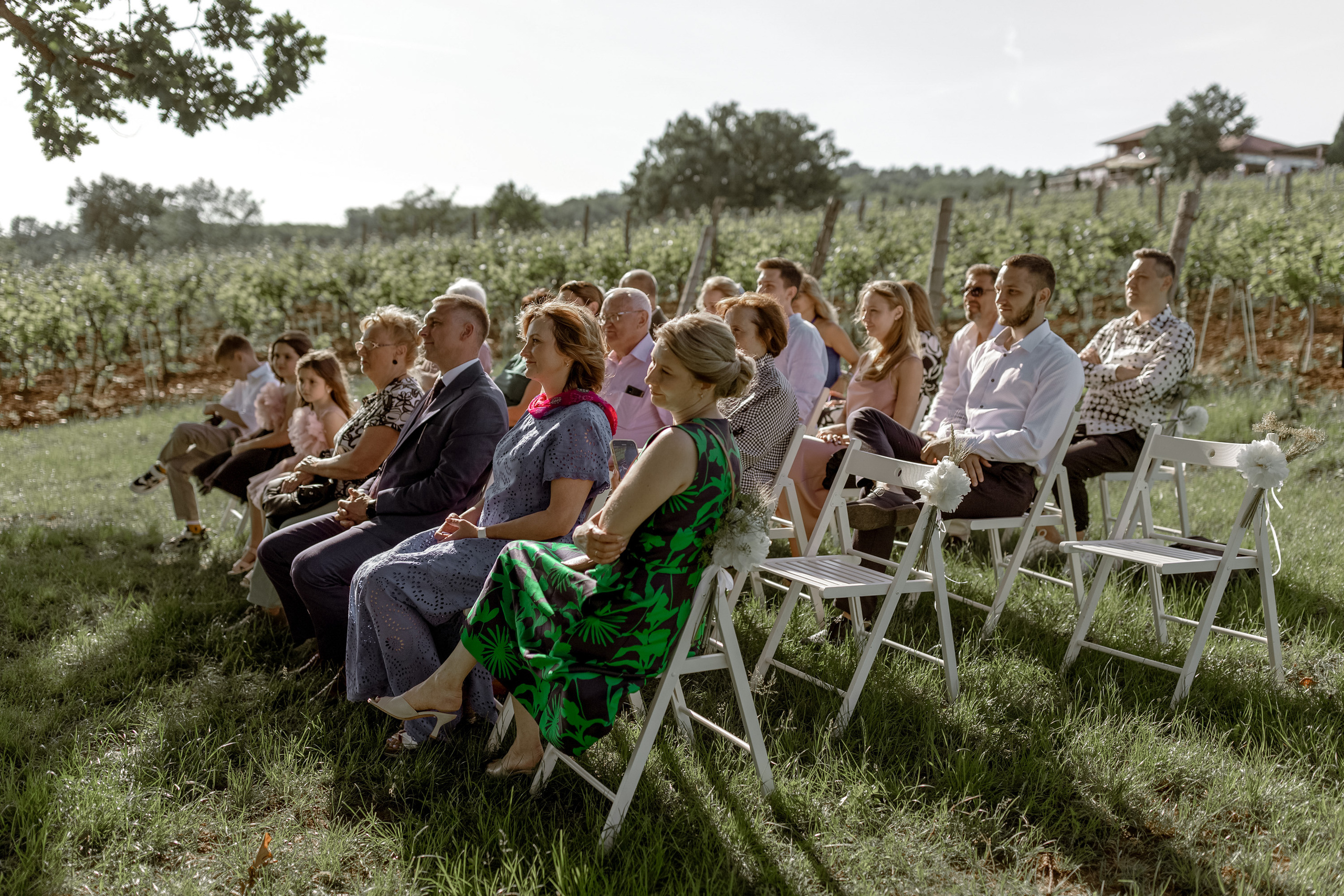 Wedding Vinarija Tarpos. Фотограф и художник Астрахов Павел