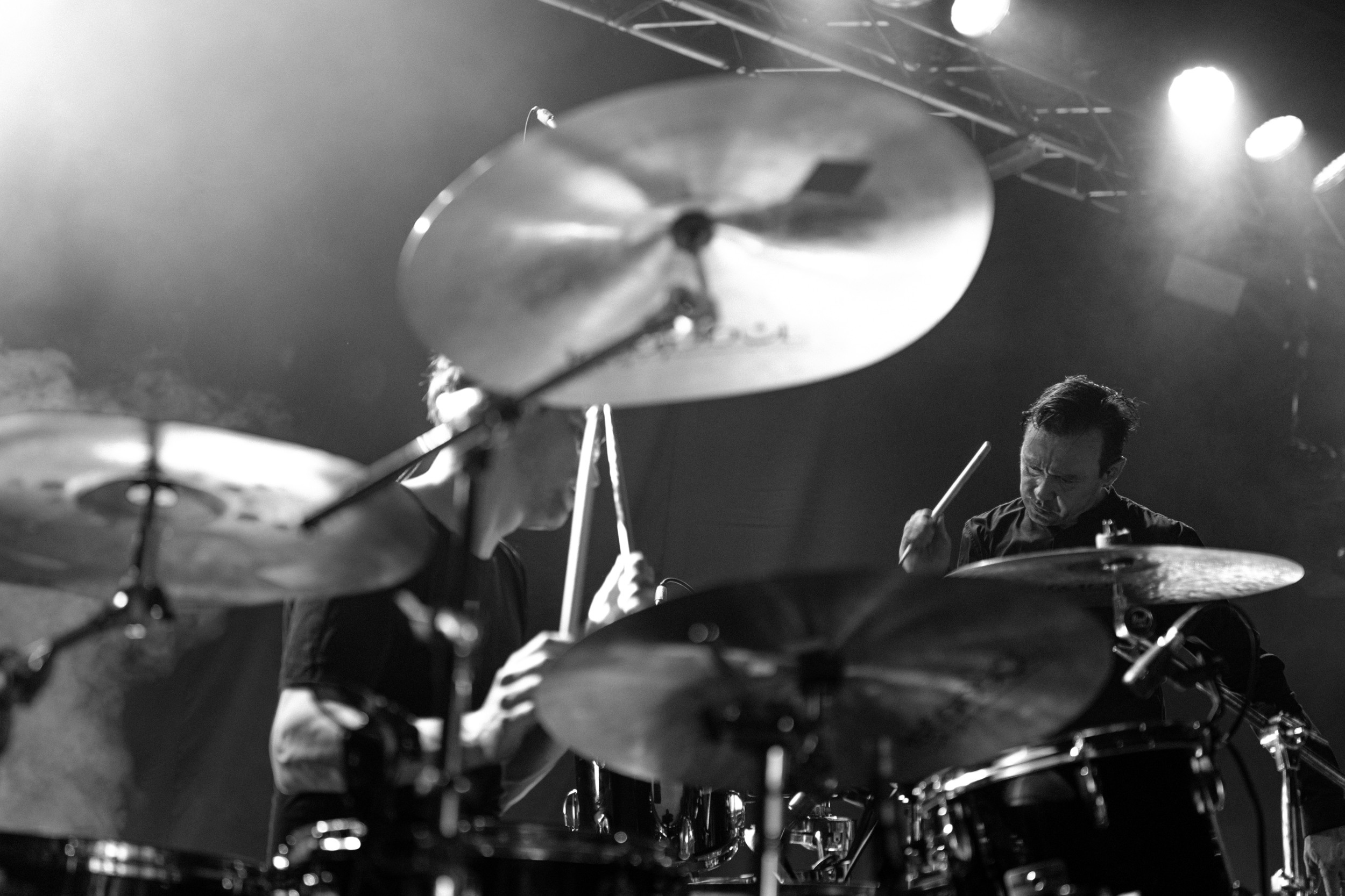 Dolphin. Astrakhov Pavel, photographer and artist