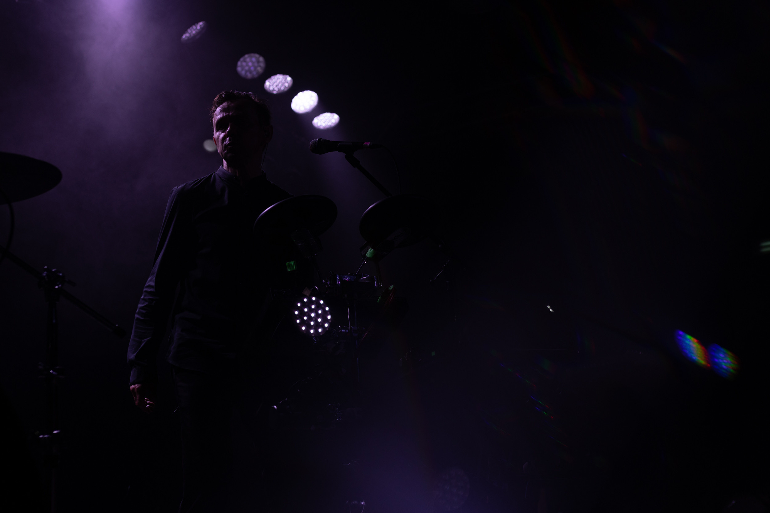 Dolphin. Astrakhov Pavel, photographer and artist