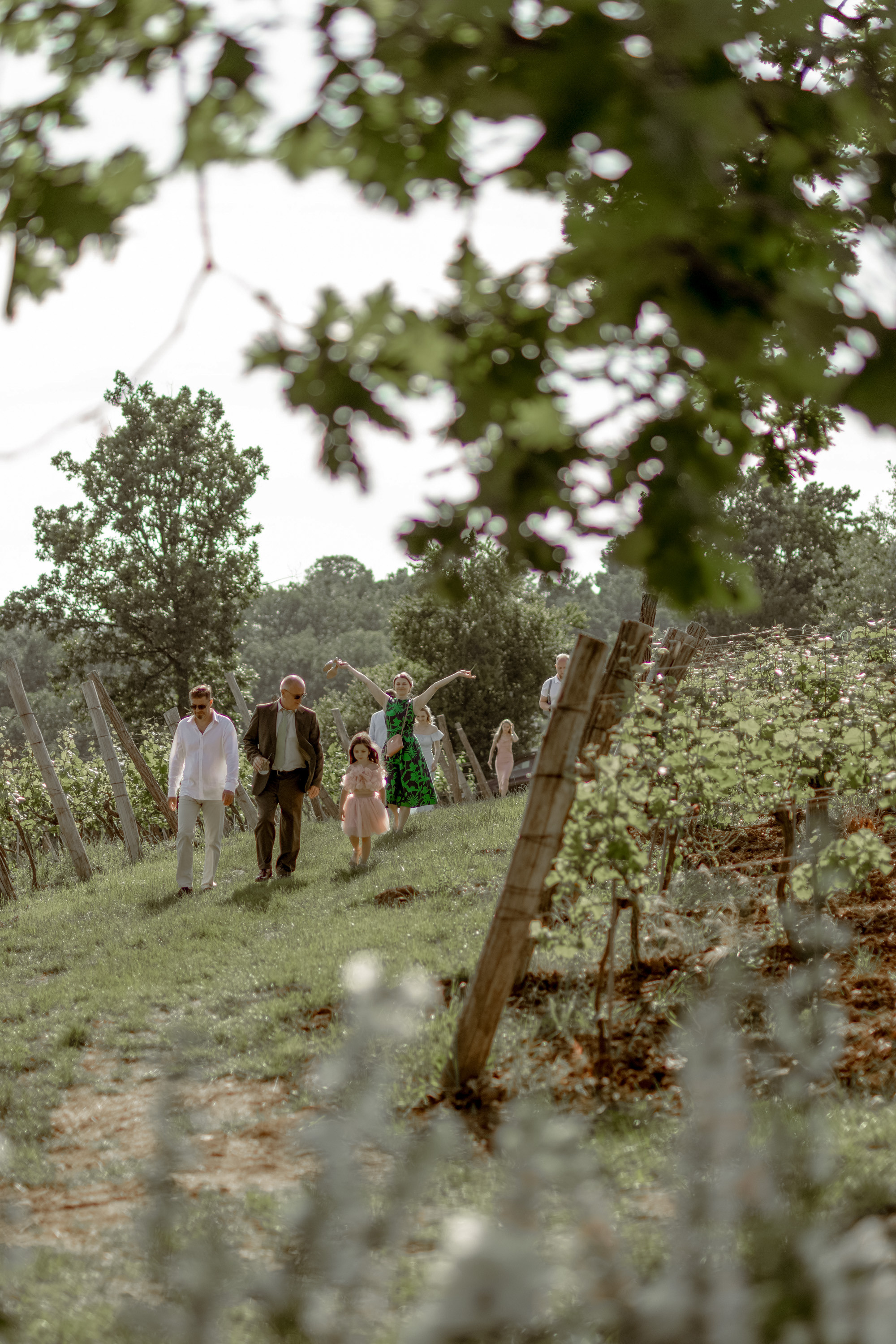 Wedding Vinarija Tarpos. Фотограф и художник Астрахов Павел