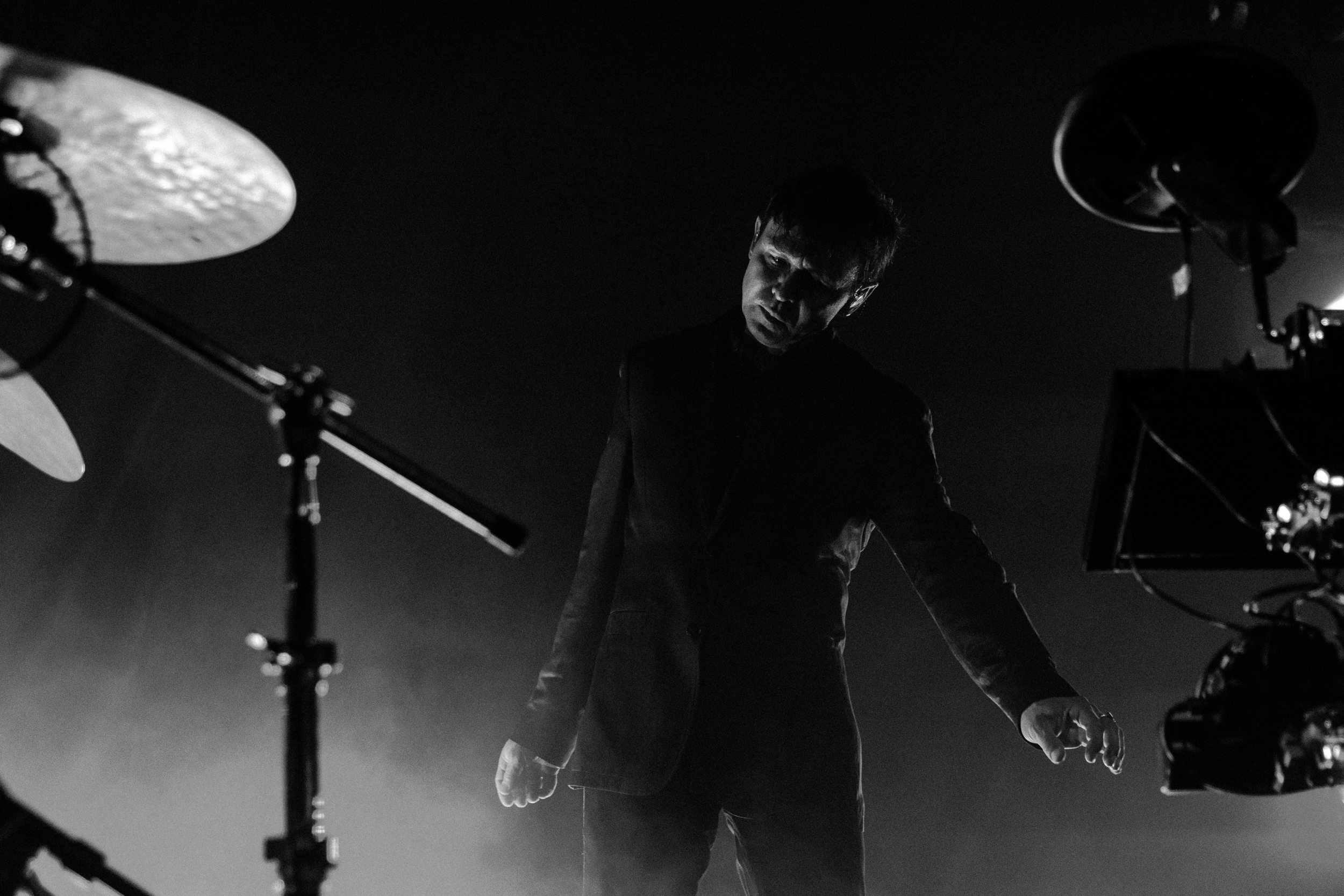 Dolphin. Astrakhov Pavel, photographer and artist