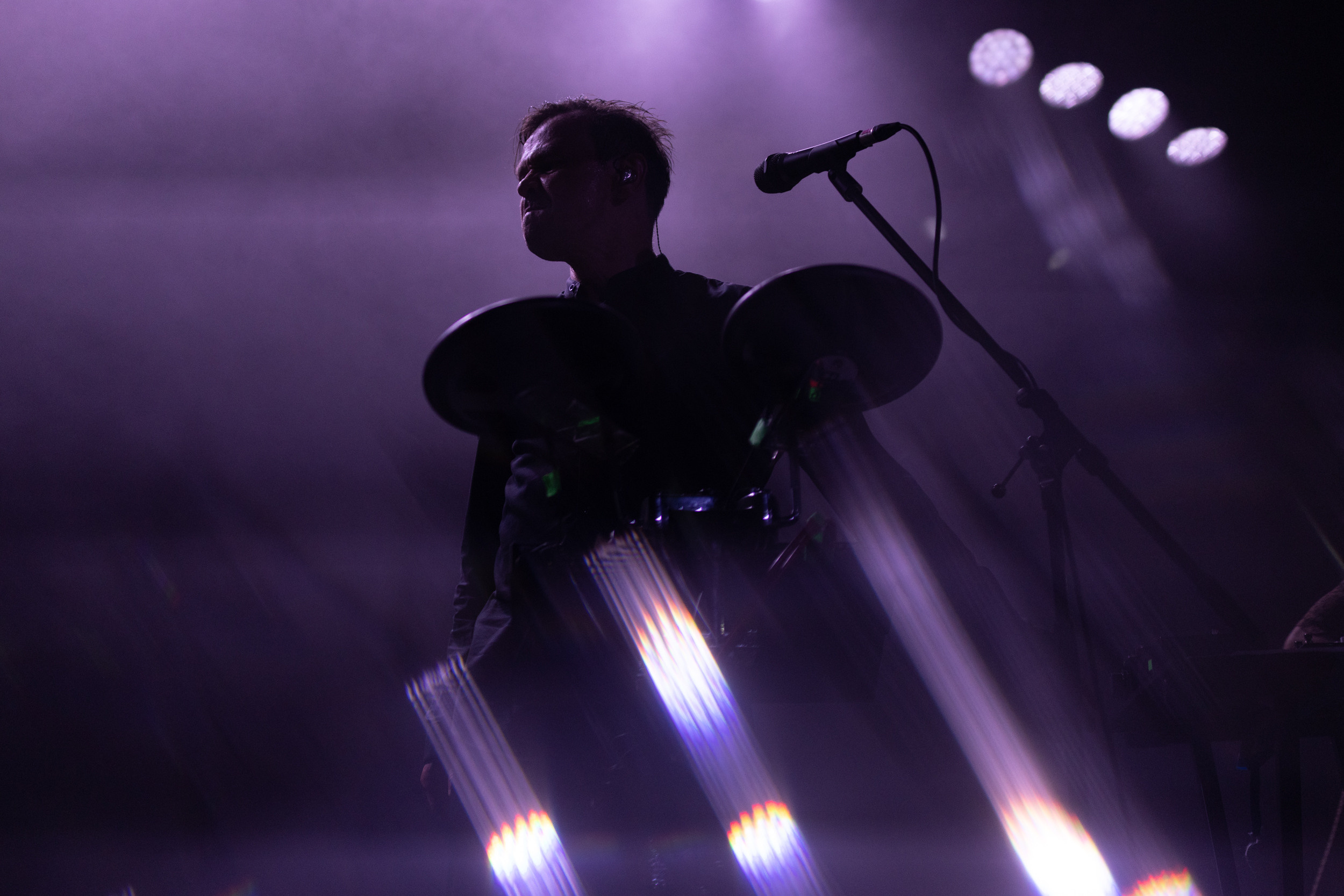 Dolphin. Astrakhov Pavel, photographer and artist