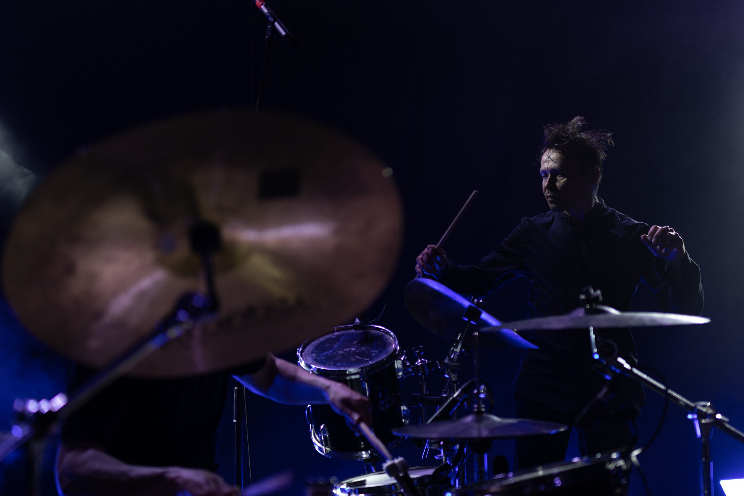 Dolphin. Astrakhov Pavel, photographer and artist