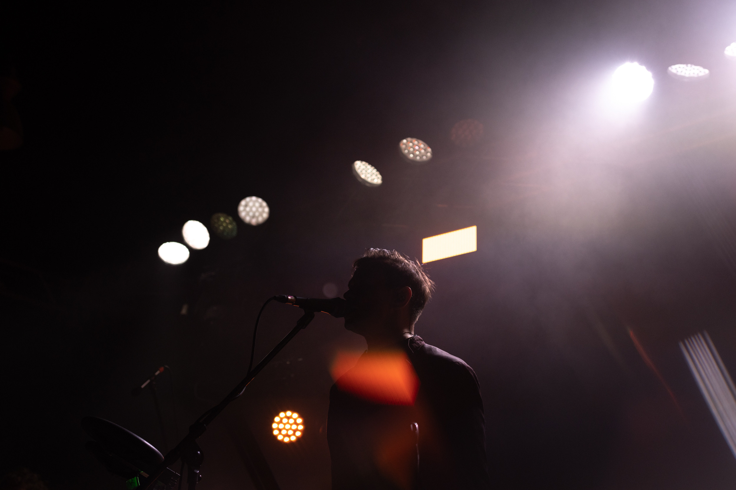 Dolphin. Astrakhov Pavel, photographer and artist