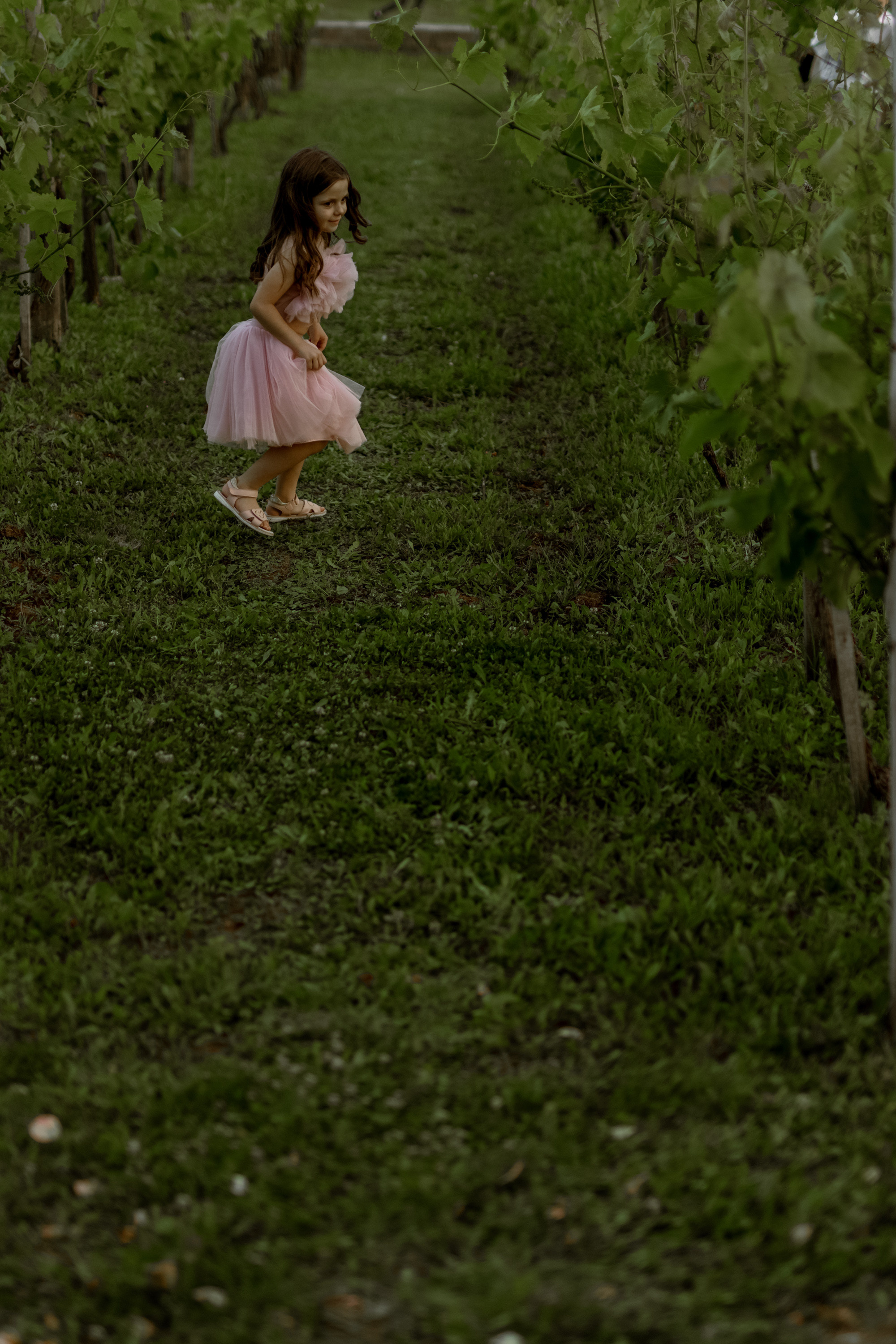 Wedding Vinarija Tarpos. Фотограф и художник Астрахов Павел