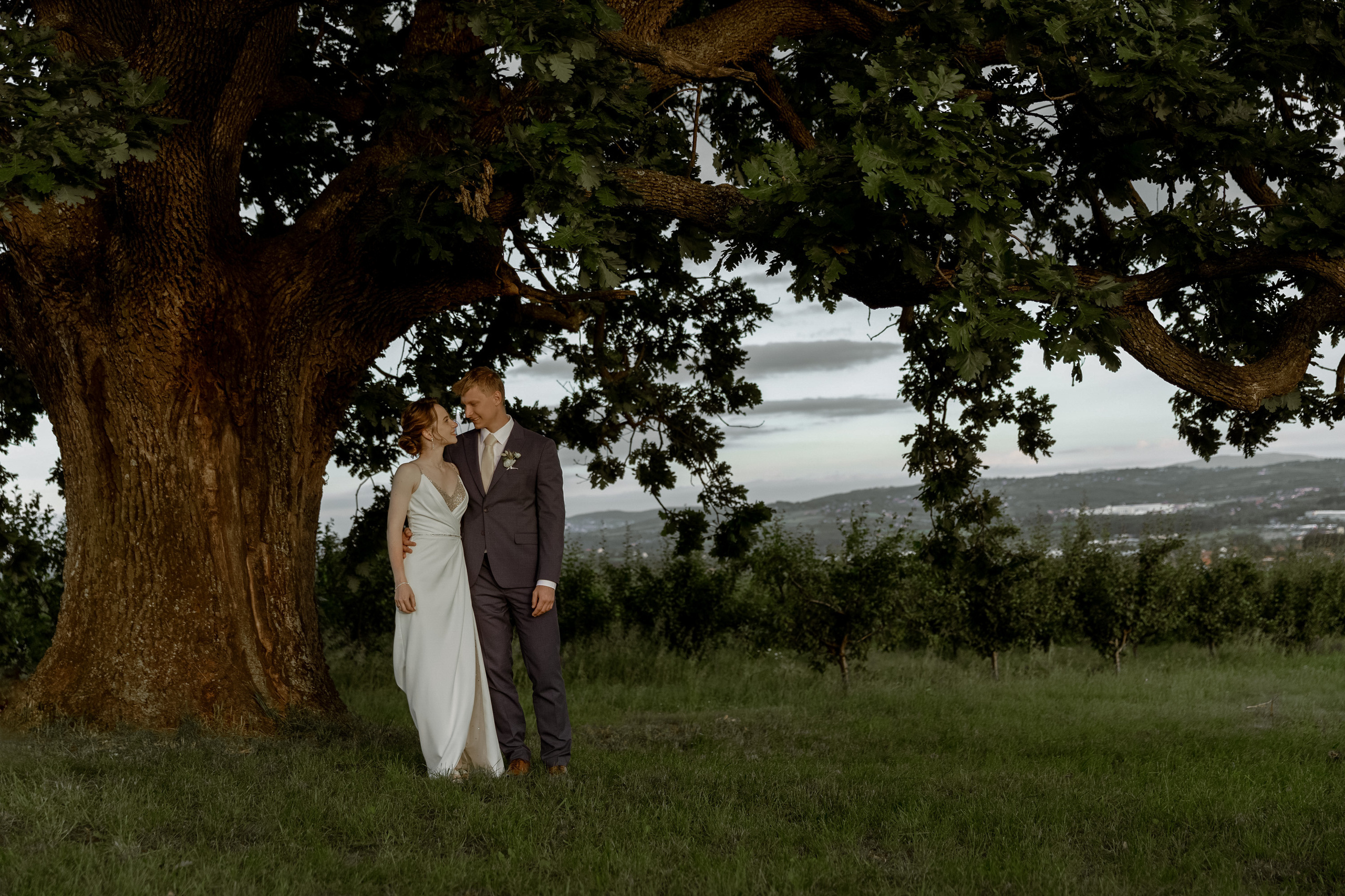 Wedding Vinarija Tarpos. Фотограф и художник Астрахов Павел