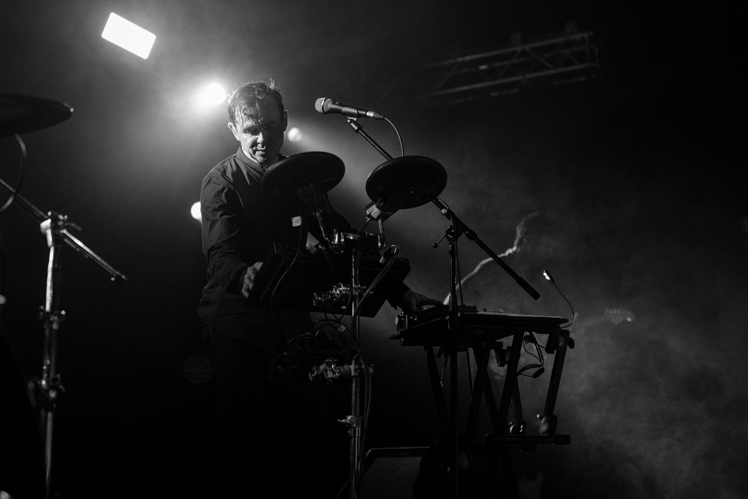 Dolphin. Astrakhov Pavel, photographer and artist