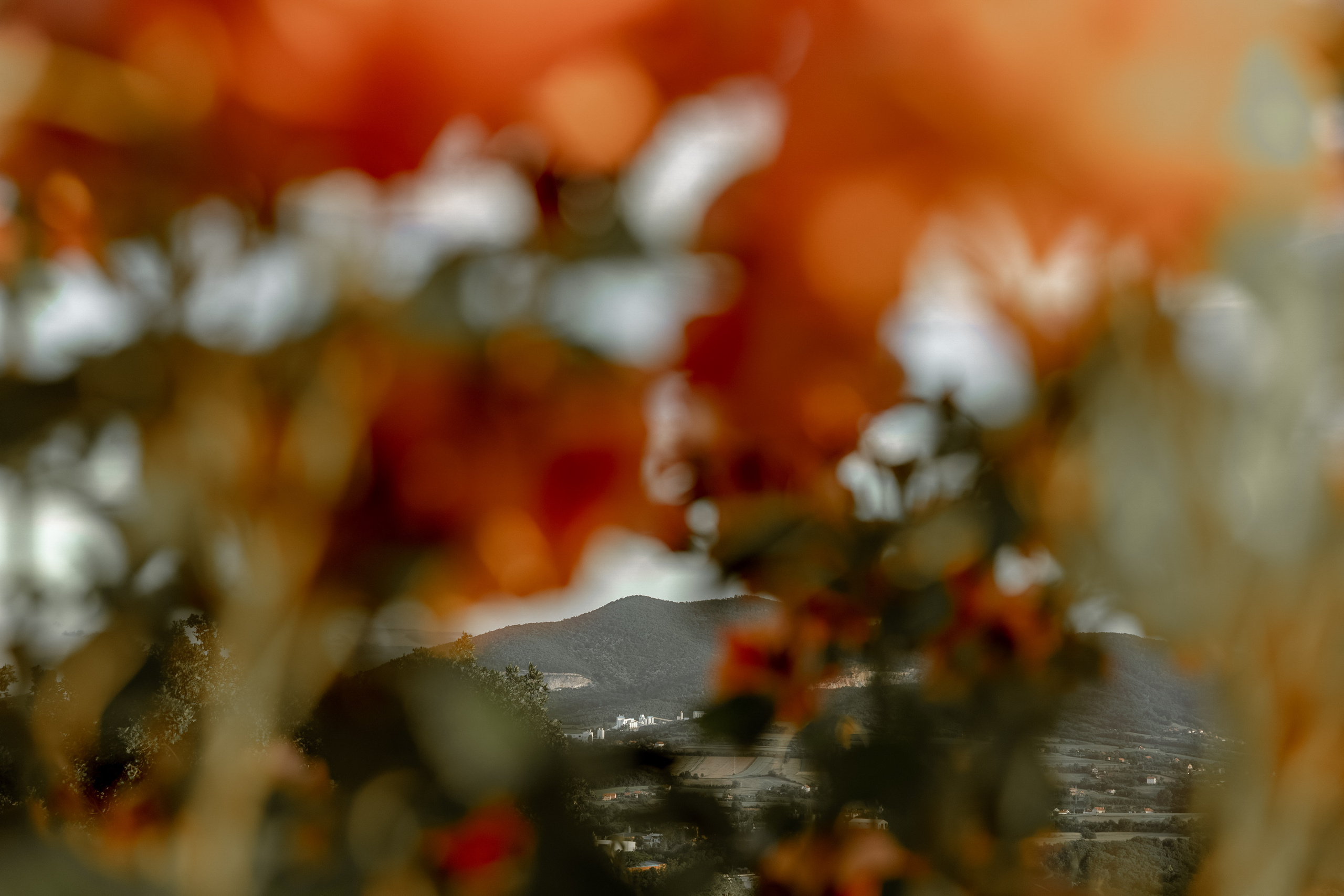 Wedding Vinarija Tarpos. Фотограф и художник Астрахов Павел