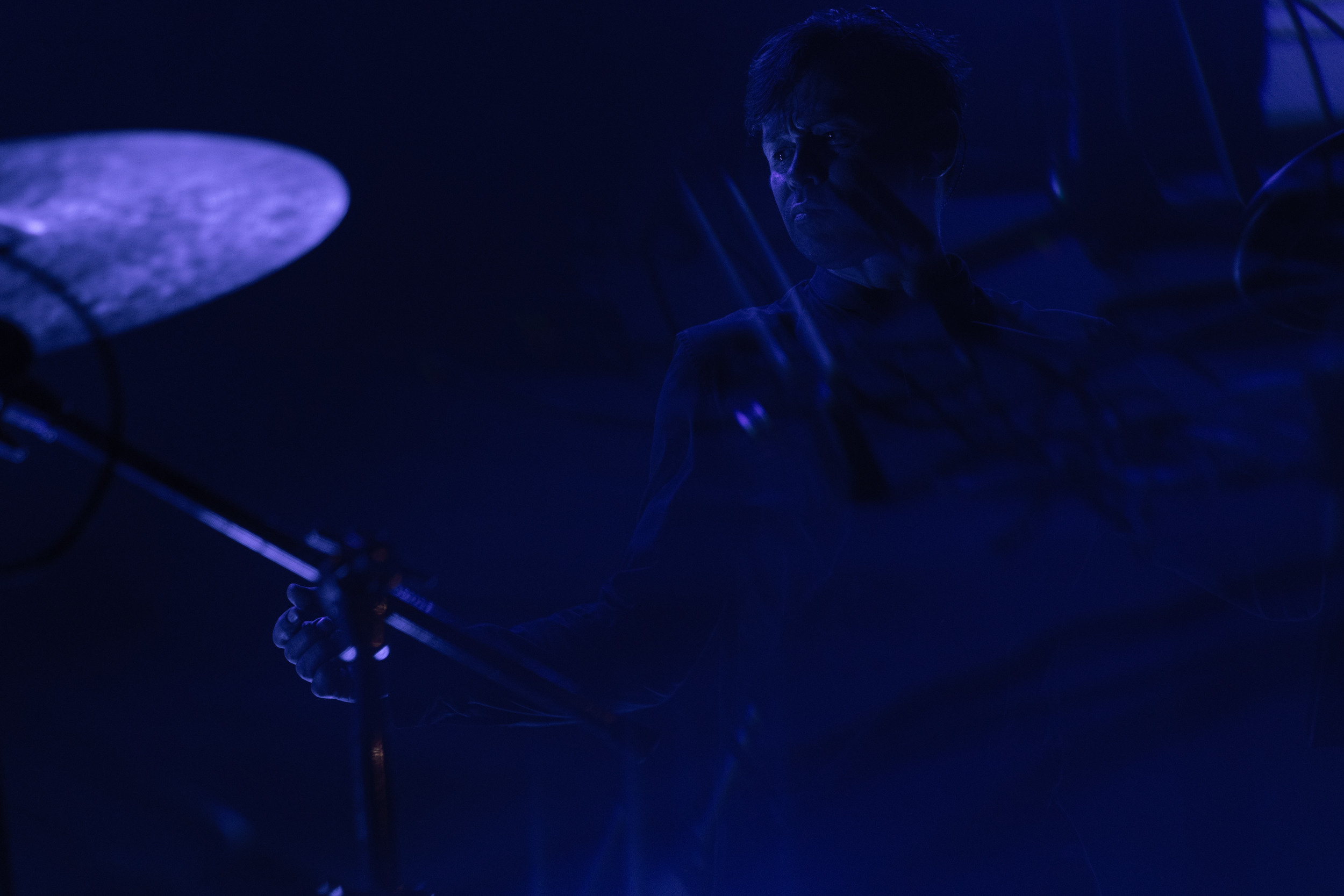 Dolphin. Astrakhov Pavel, photographer and artist