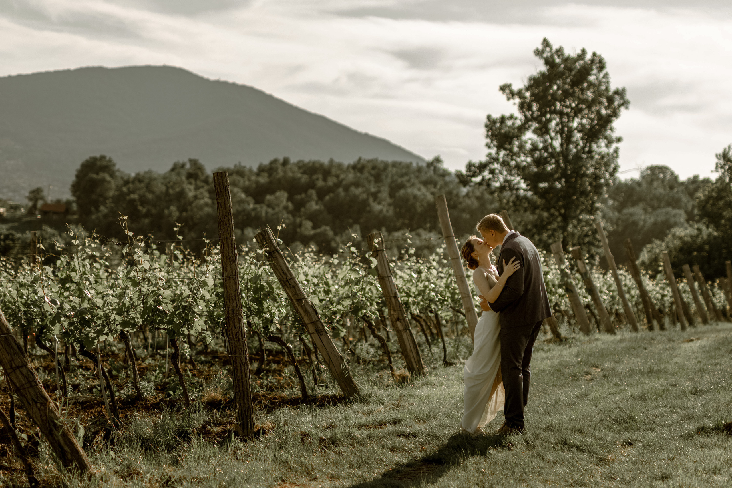Wedding Vinarija Tarpos. Фотограф и художник Астрахов Павел