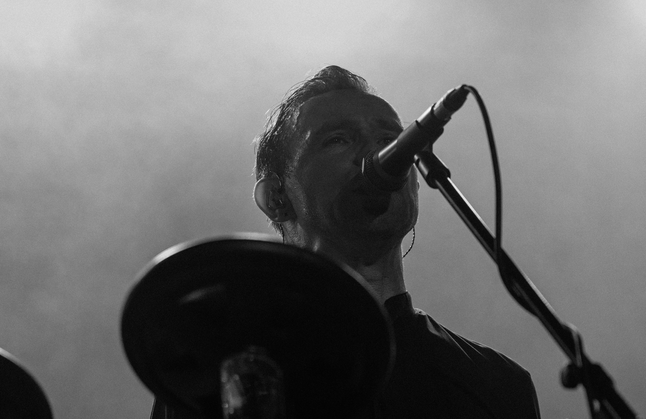 Dolphin. Astrakhov Pavel, photographer and artist