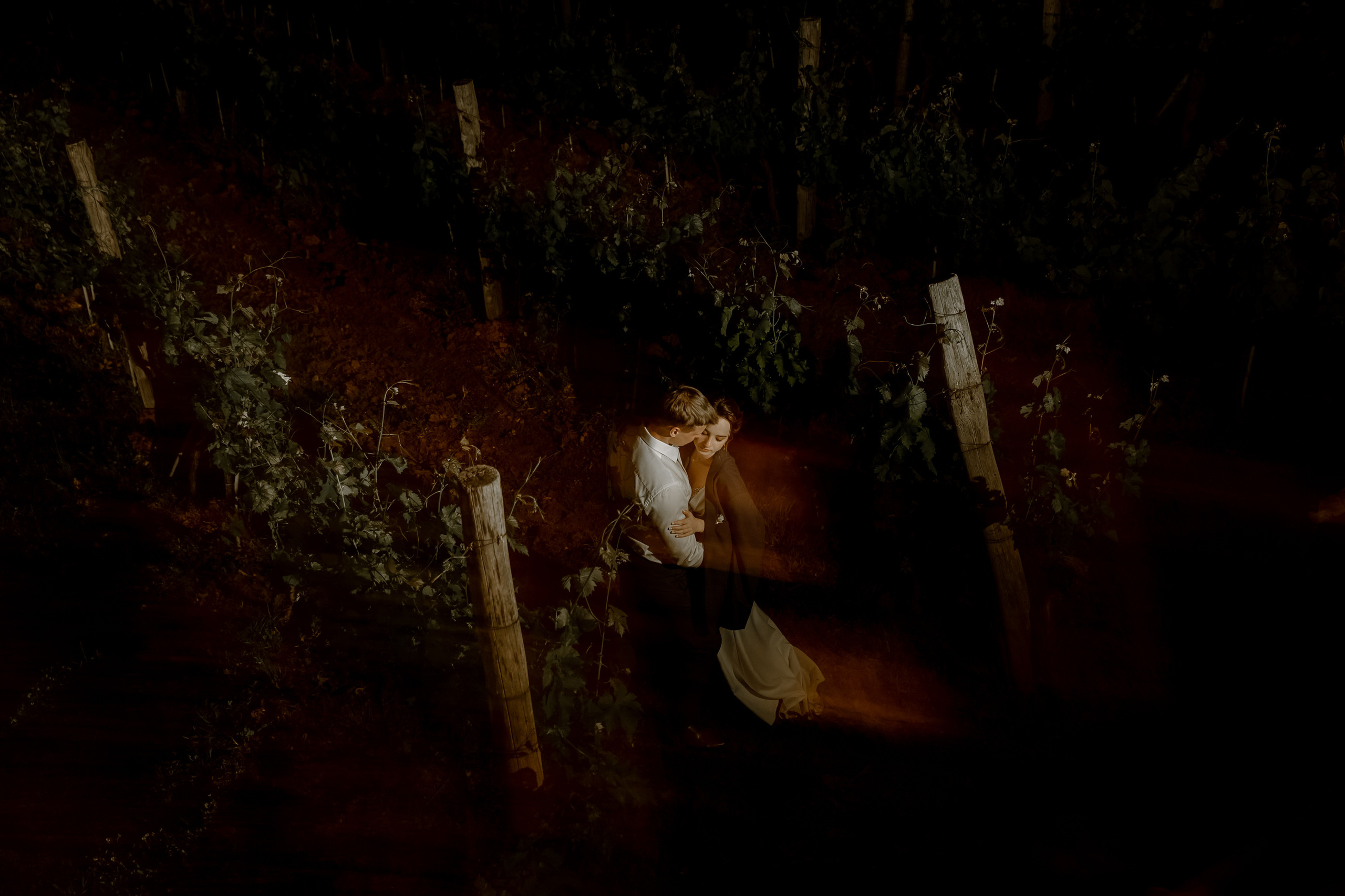 Wedding Vinarija Tarpos. Фотограф и художник Астрахов Павел