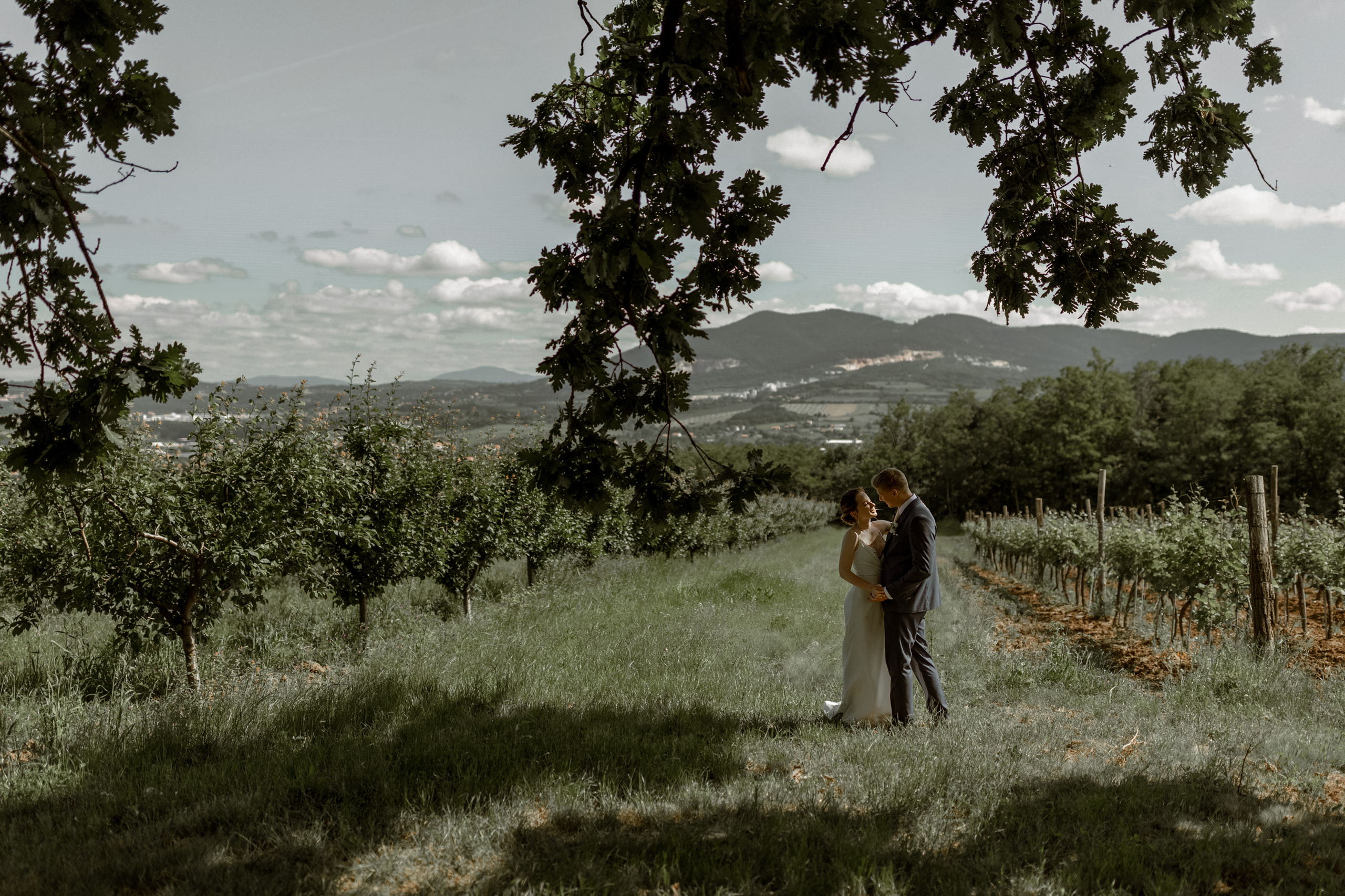 Wedding Vinarija Tarpos. Фотограф и художник Астрахов Павел