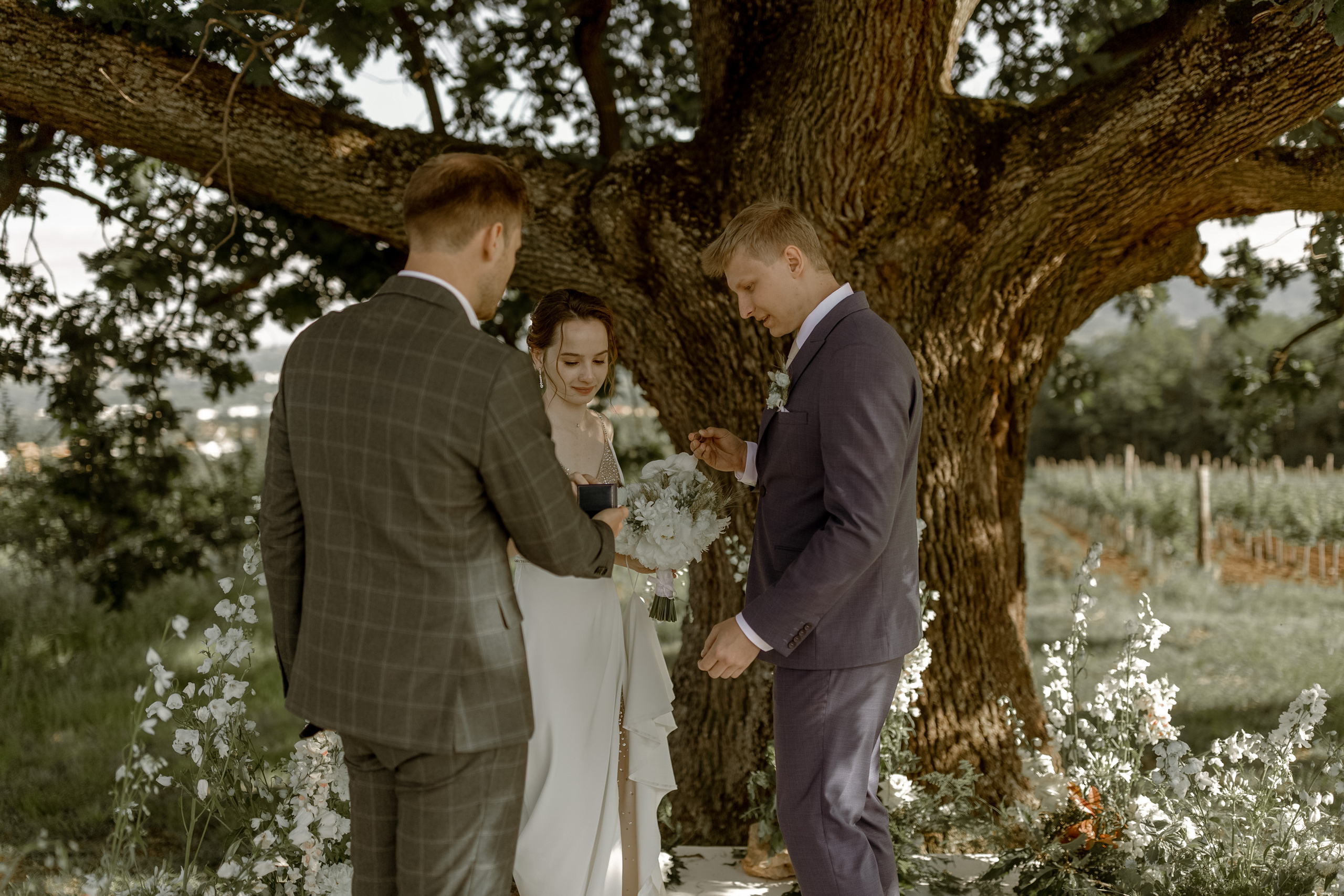 Wedding Vinarija Tarpos. Фотограф и художник Астрахов Павел