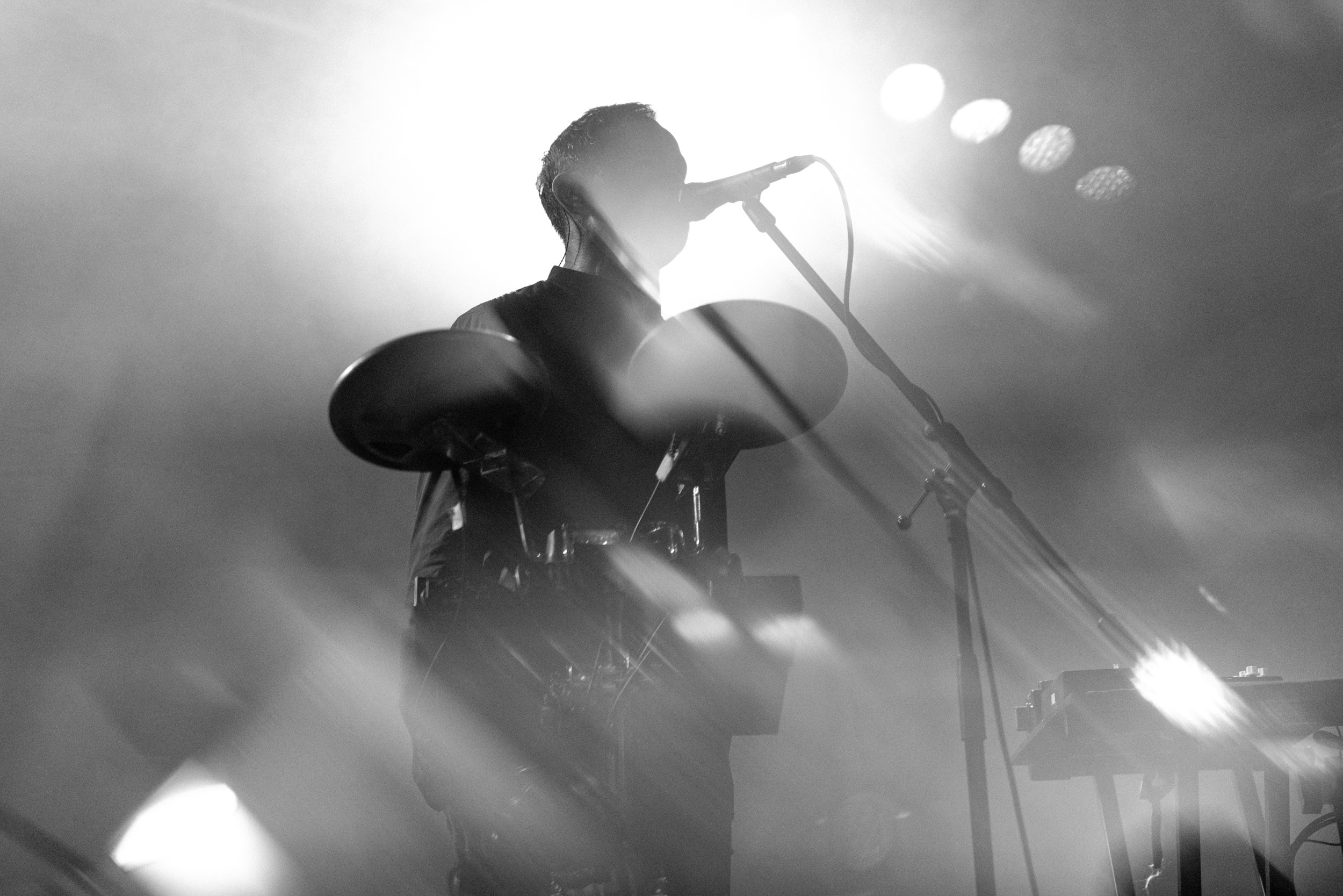 Dolphin. Astrakhov Pavel, photographer and artist