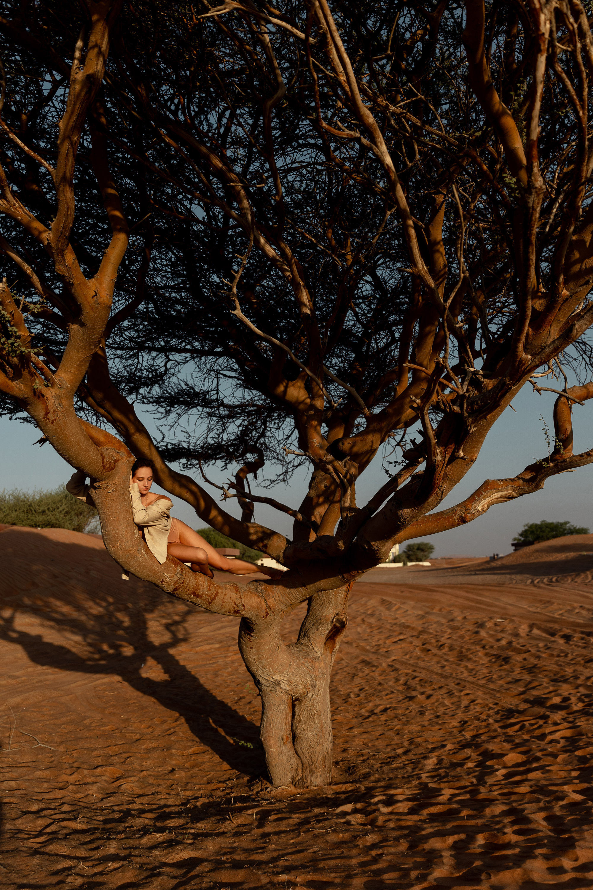 Desert. Astrakhov Pavel, photographer and artist