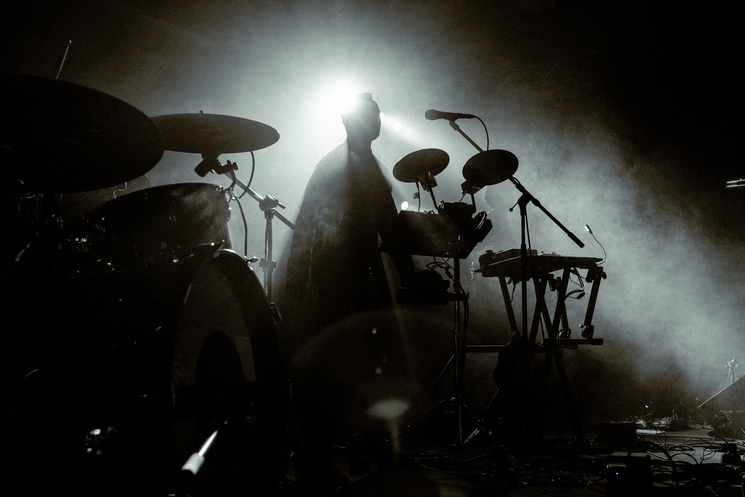 Dolphin. Astrakhov Pavel, photographer and artist