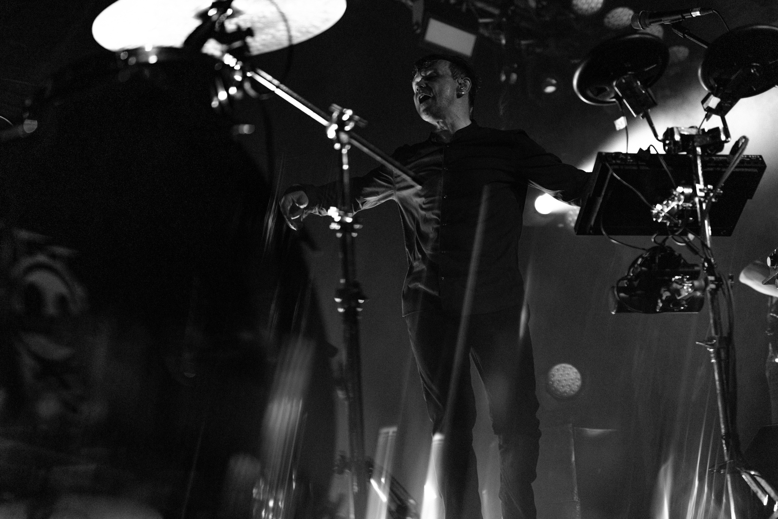 Dolphin. Astrakhov Pavel, photographer and artist