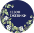 dm-ezhevika.wfolio.pro