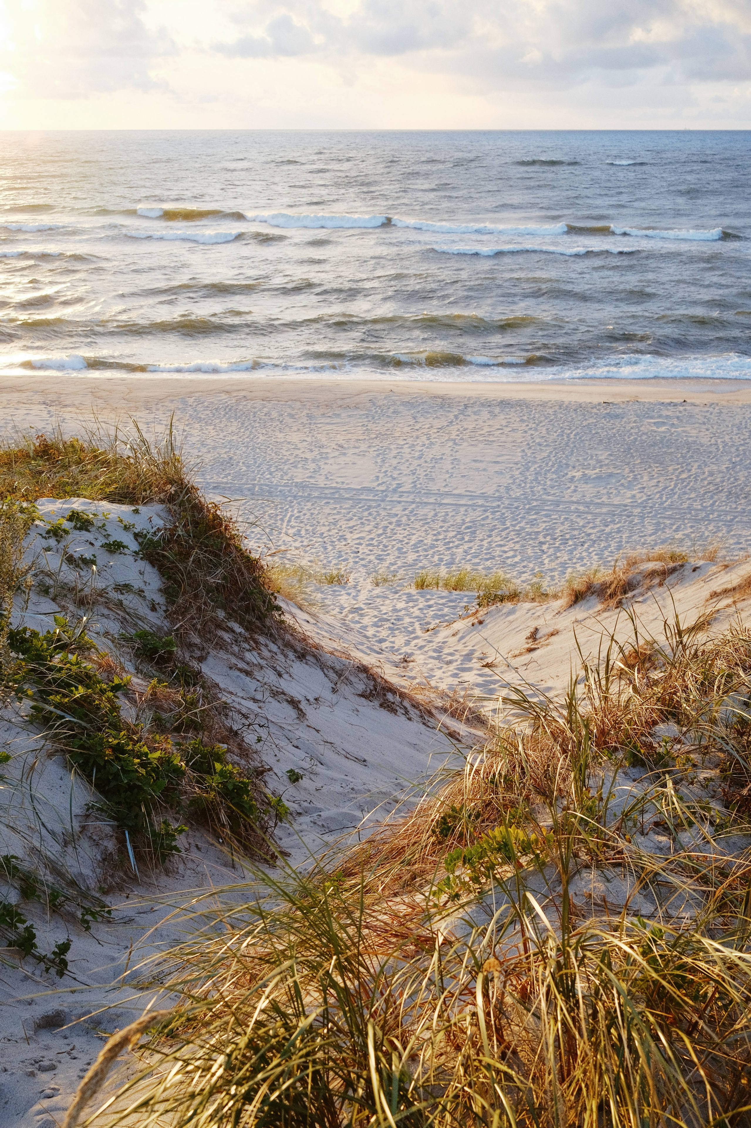Калининградская область: любимые места. Семейная фотография, Анастасия Руднева, Москва