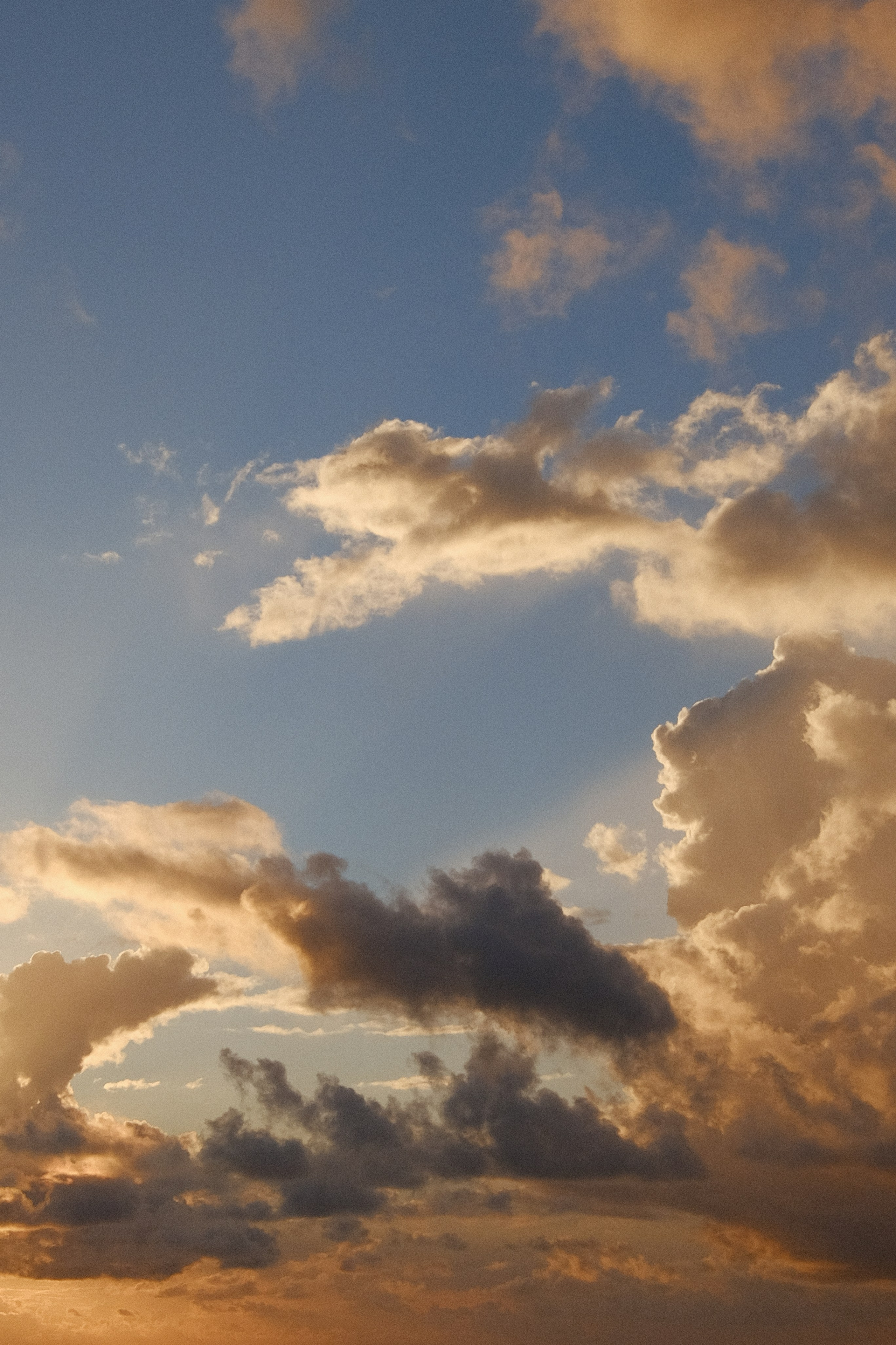 Калининградская область: любимые места. Семейная фотография, Анастасия Руднева, Москва