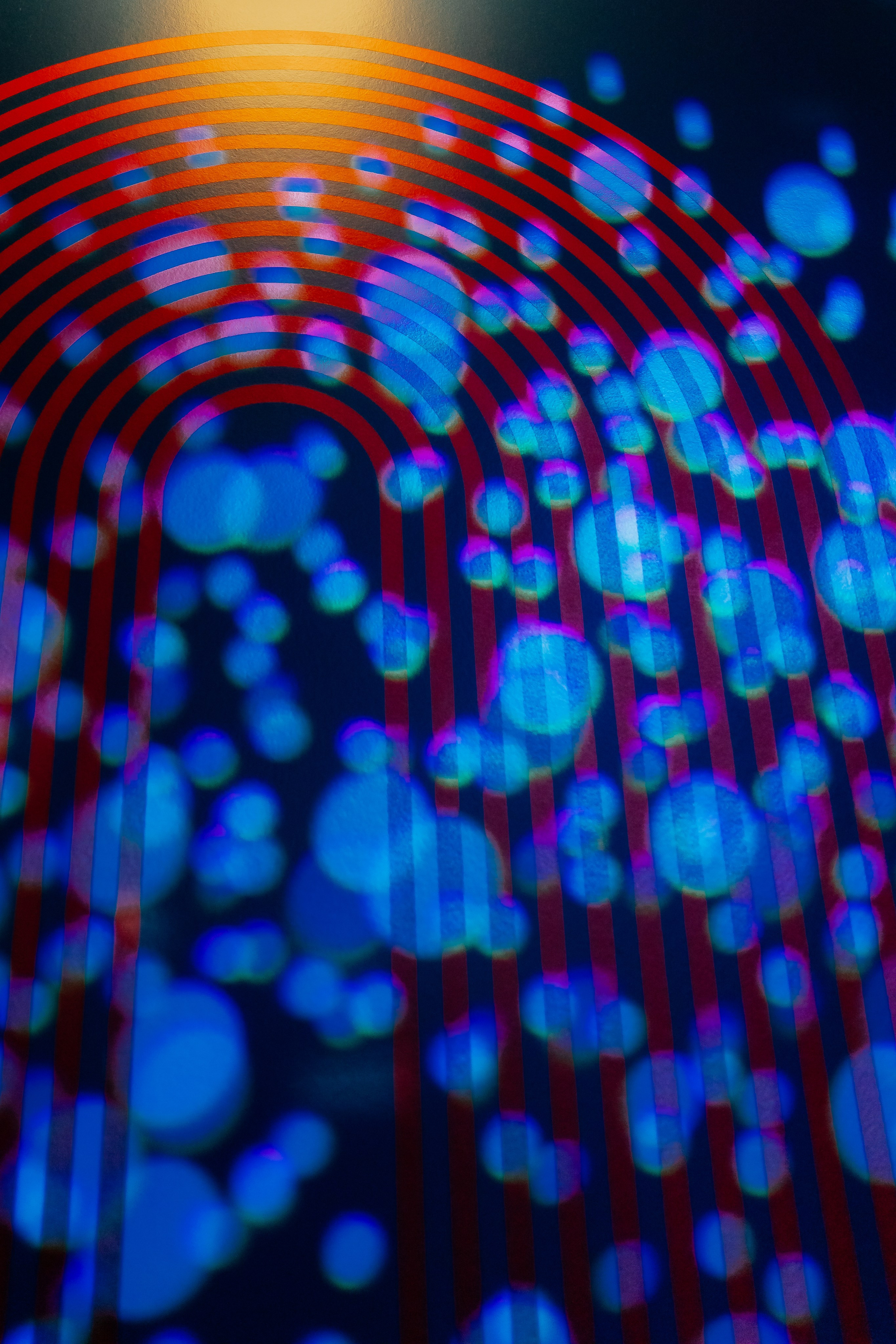 Услуги и цены. Свадебный фотограф в Екатеринбурге Александр Перепечин