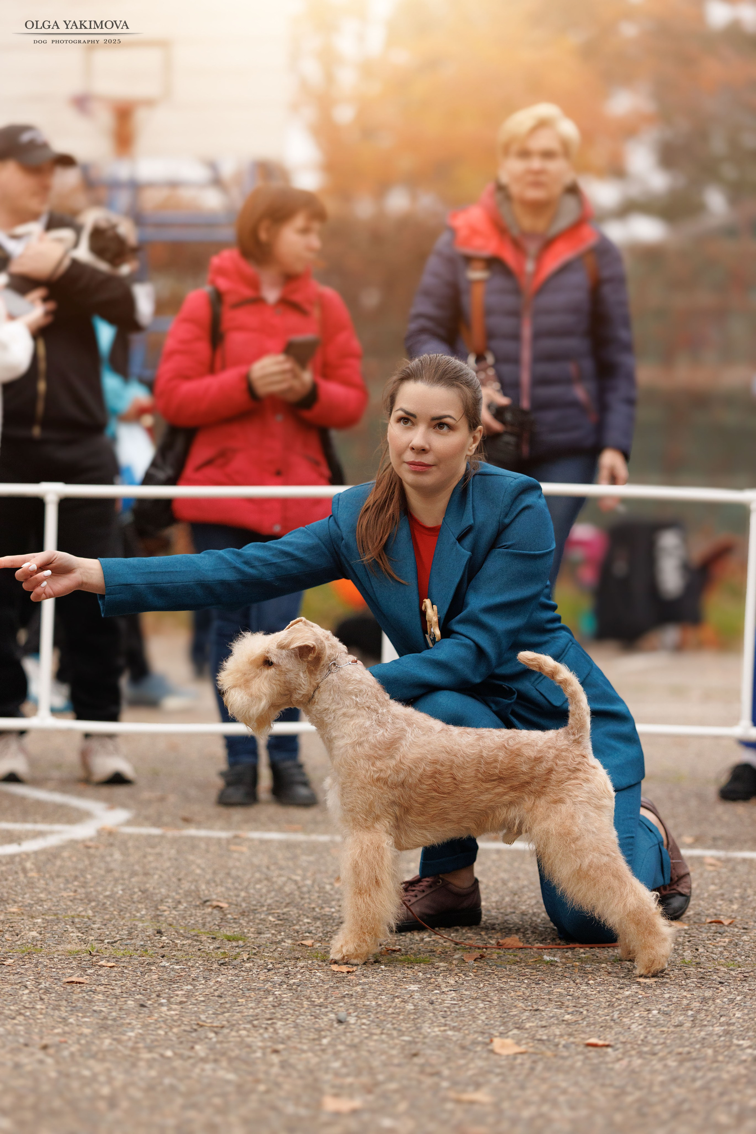 Выставка собак. Фотограф