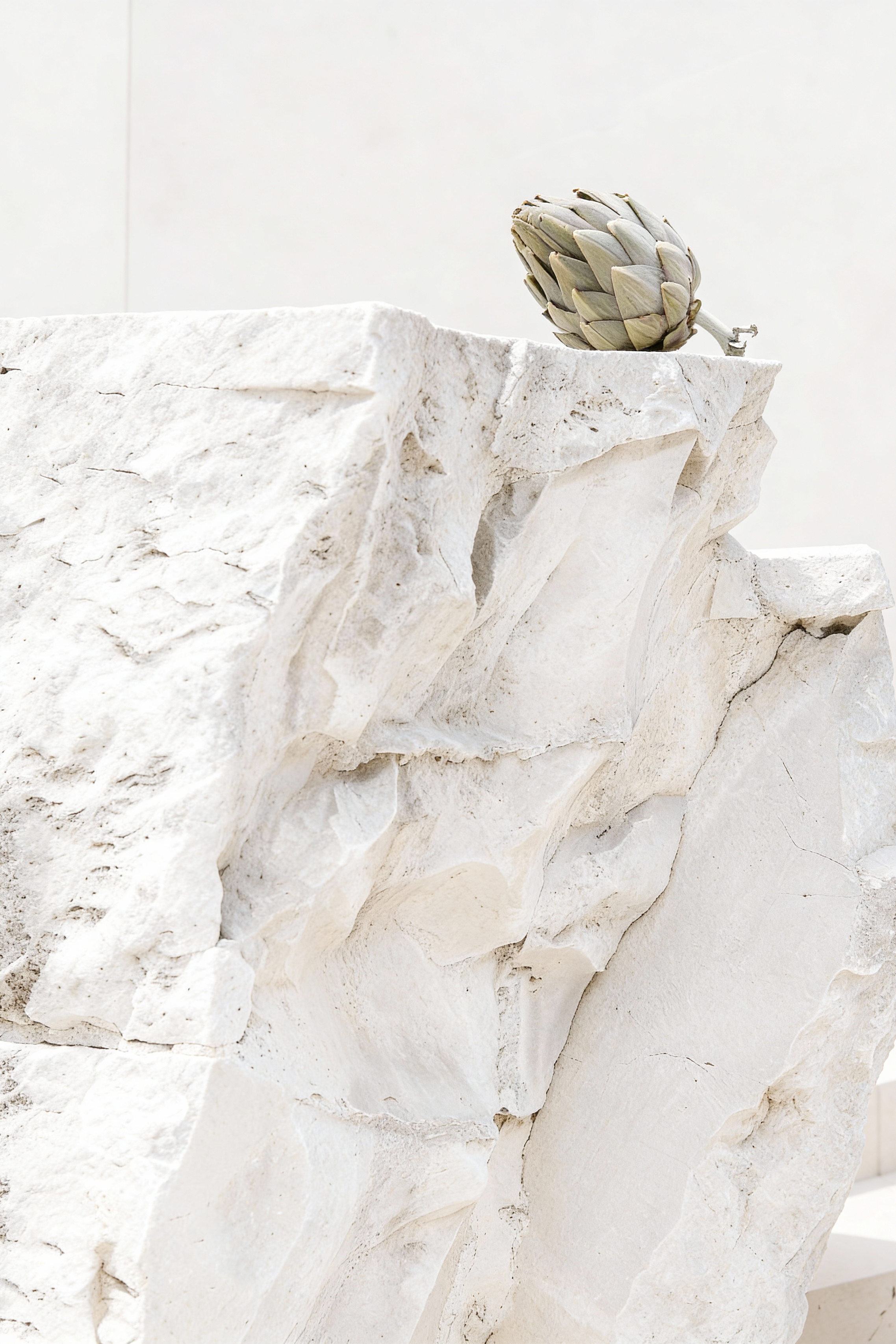 Jil Sander — концептуальная AI fashion-серия с артишоком | jl.art.ai.lab. Анна Карчмит — AI-художник. Эдиториал, нейрофотосессия и контент для fashion и beauty брендов