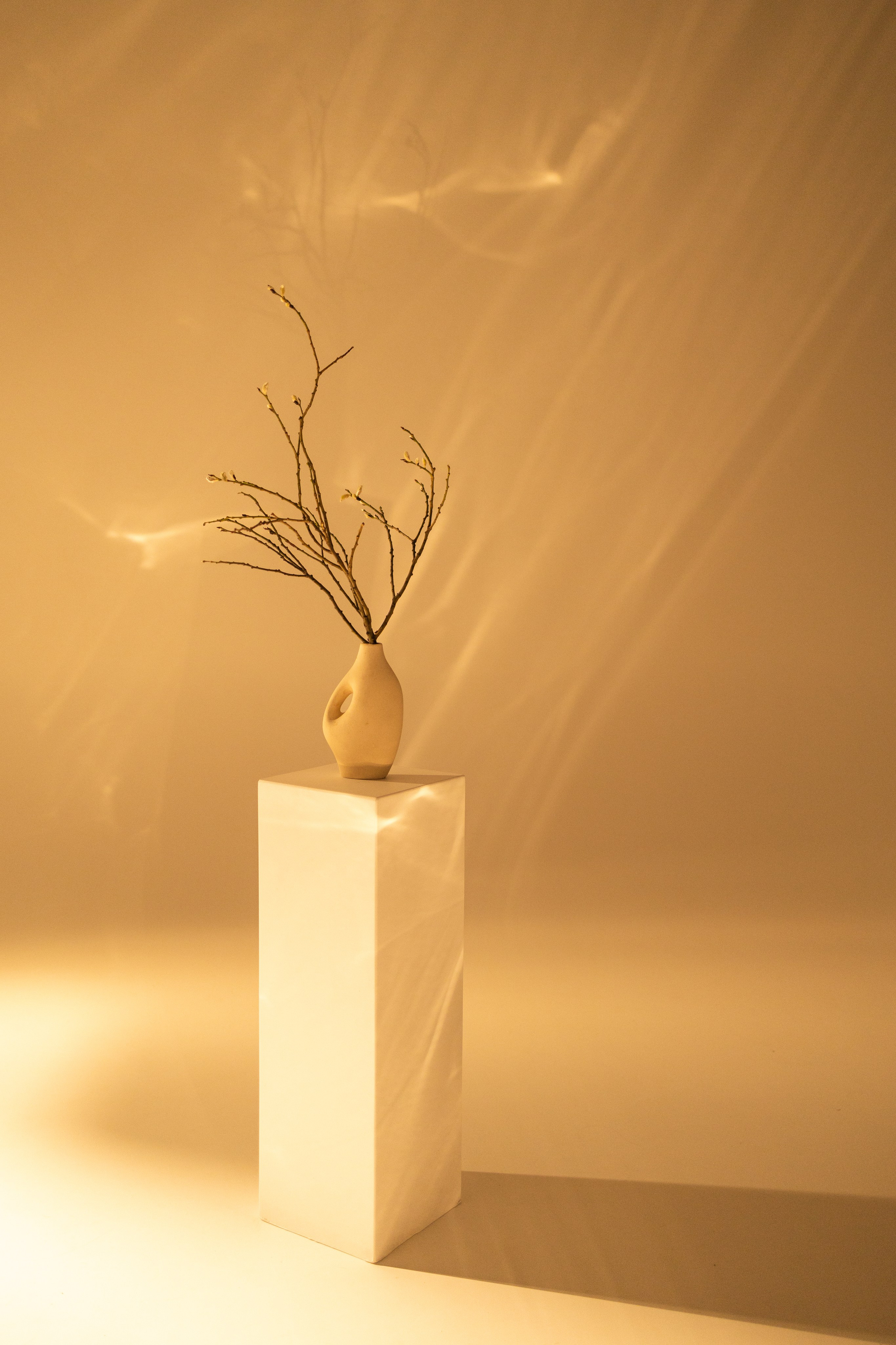 Виноградова Маргарита. Фотограф P r o Явления