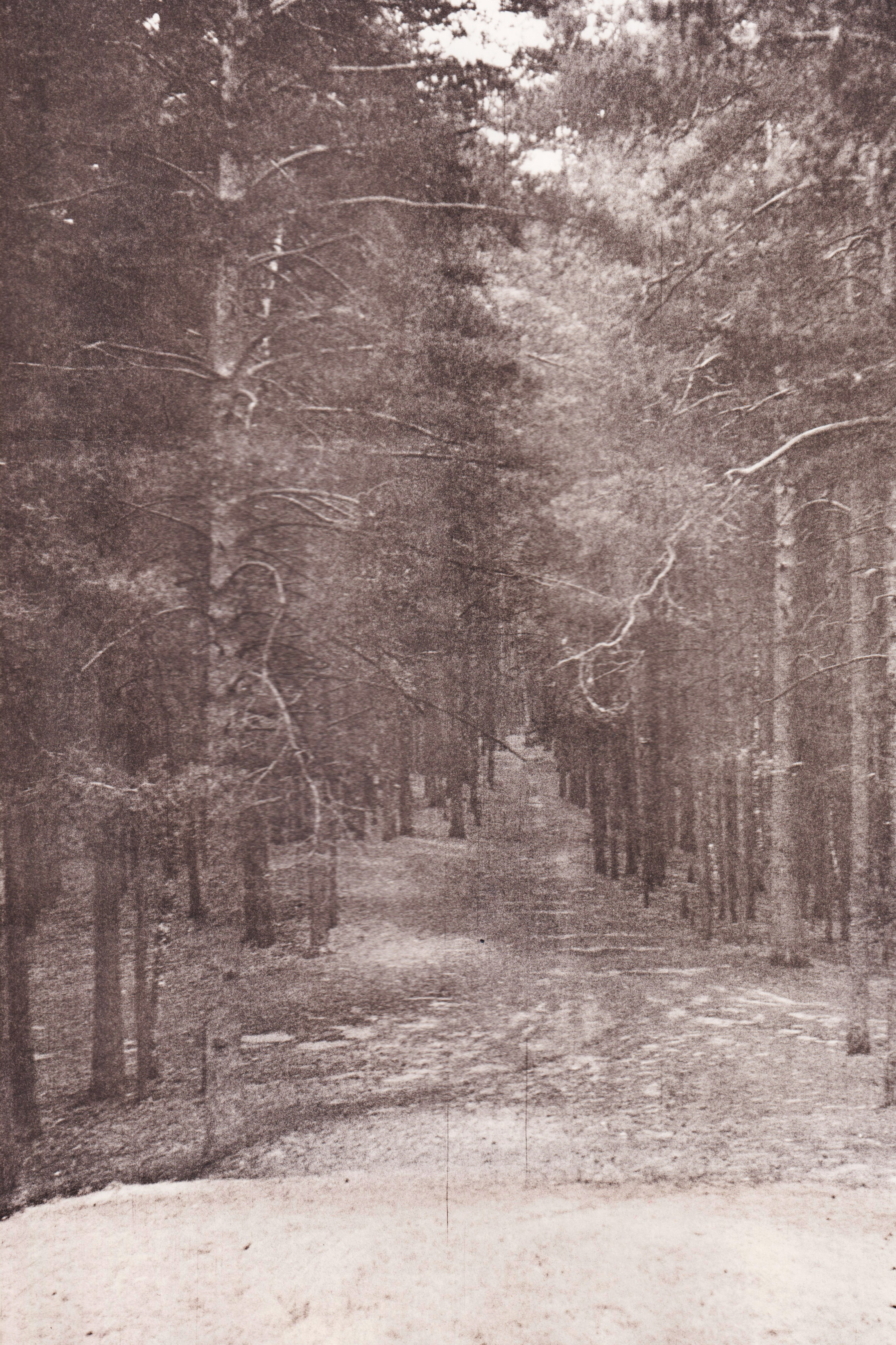 Ручные методы печати. Аналоговые отпечатки. Лит-печать. Татьяна Мищенко — фотохудожник. Междисциплинарный художник, основные медиумы: фотография, графика, коллаж. Портретный фотограф город Дубна