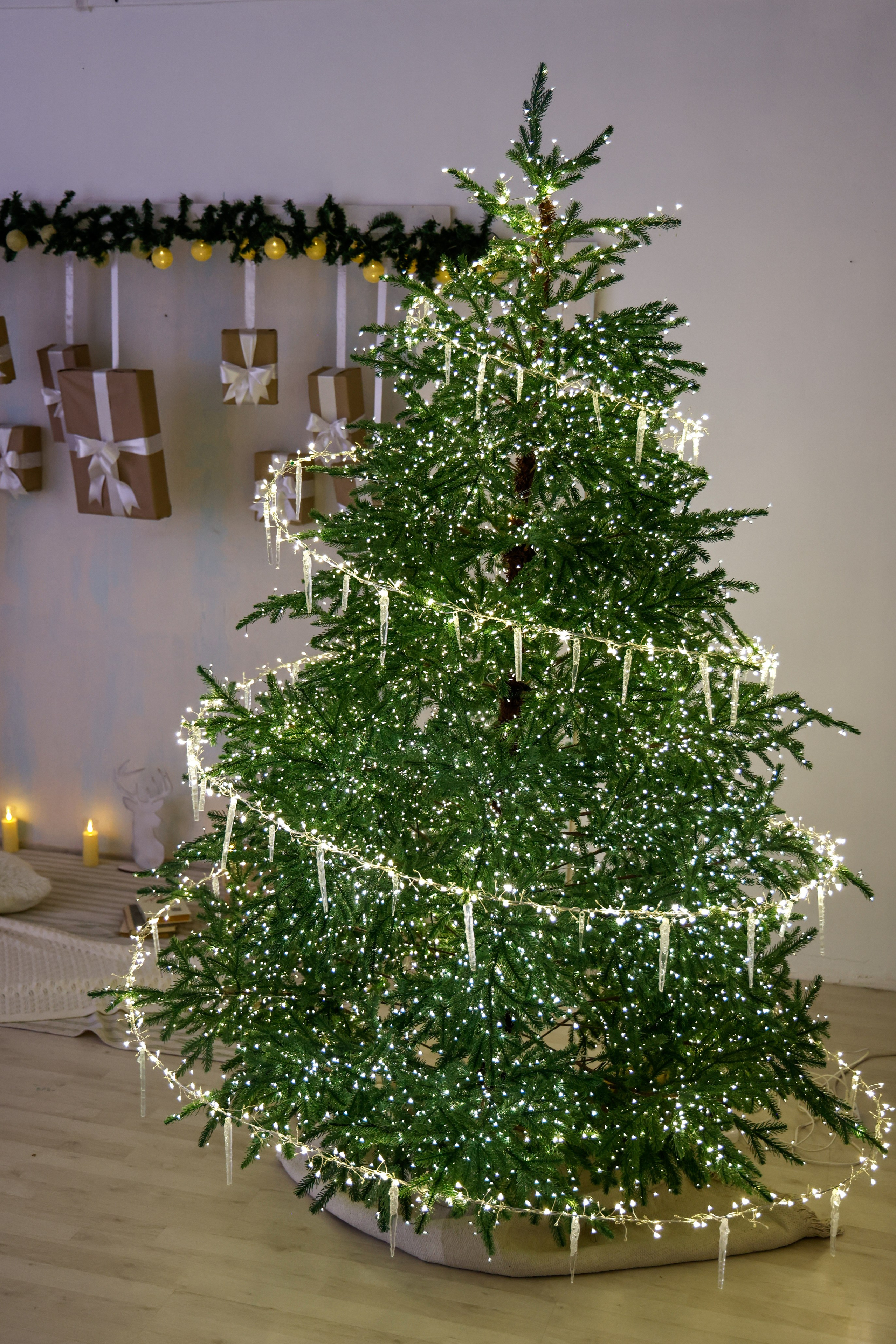 Контакты. Фотостудия В Кадре