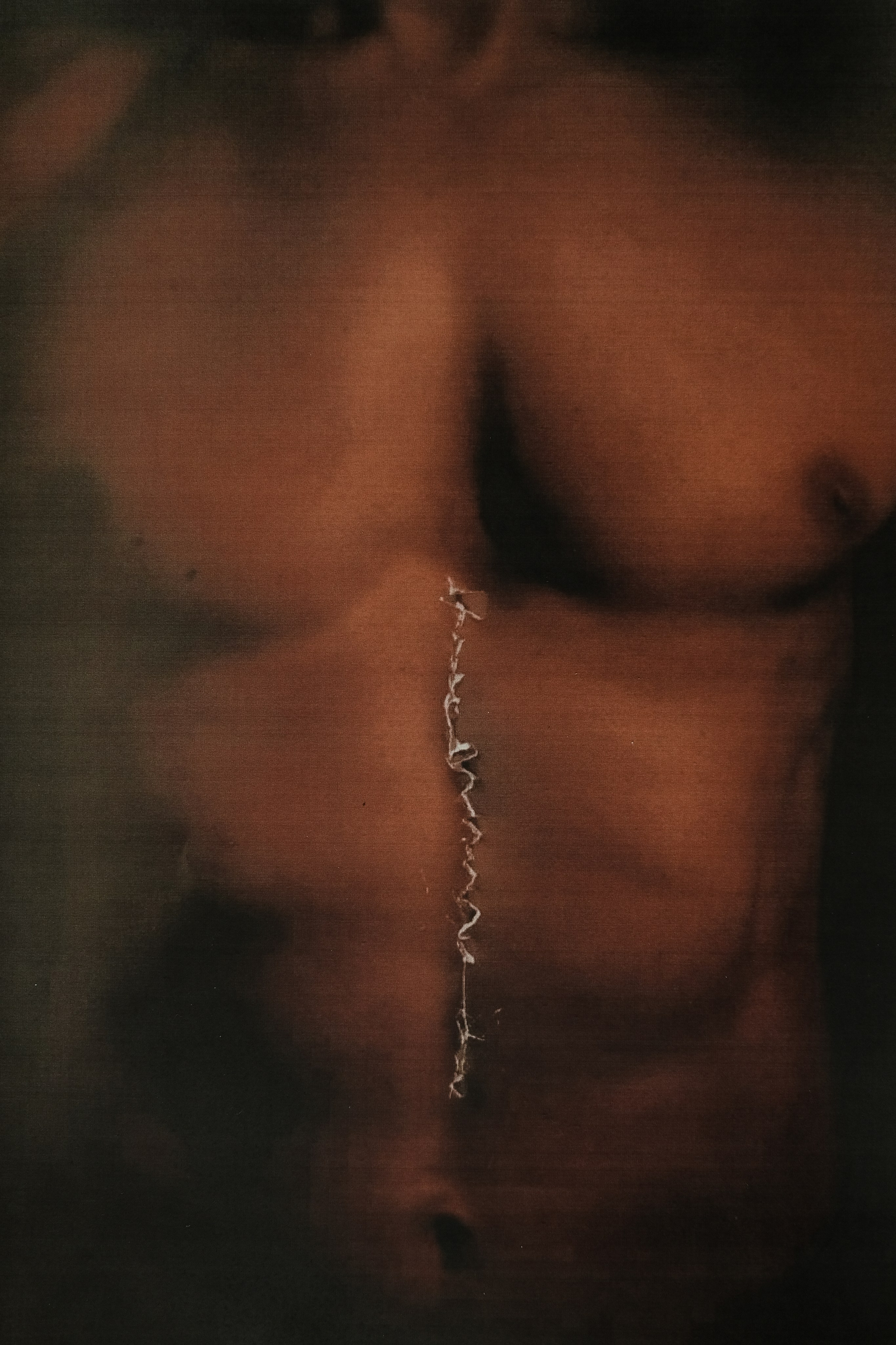 ALCHEMY OF THE BODY. VISUAL ARTIST. OLGA ZHDANOVA