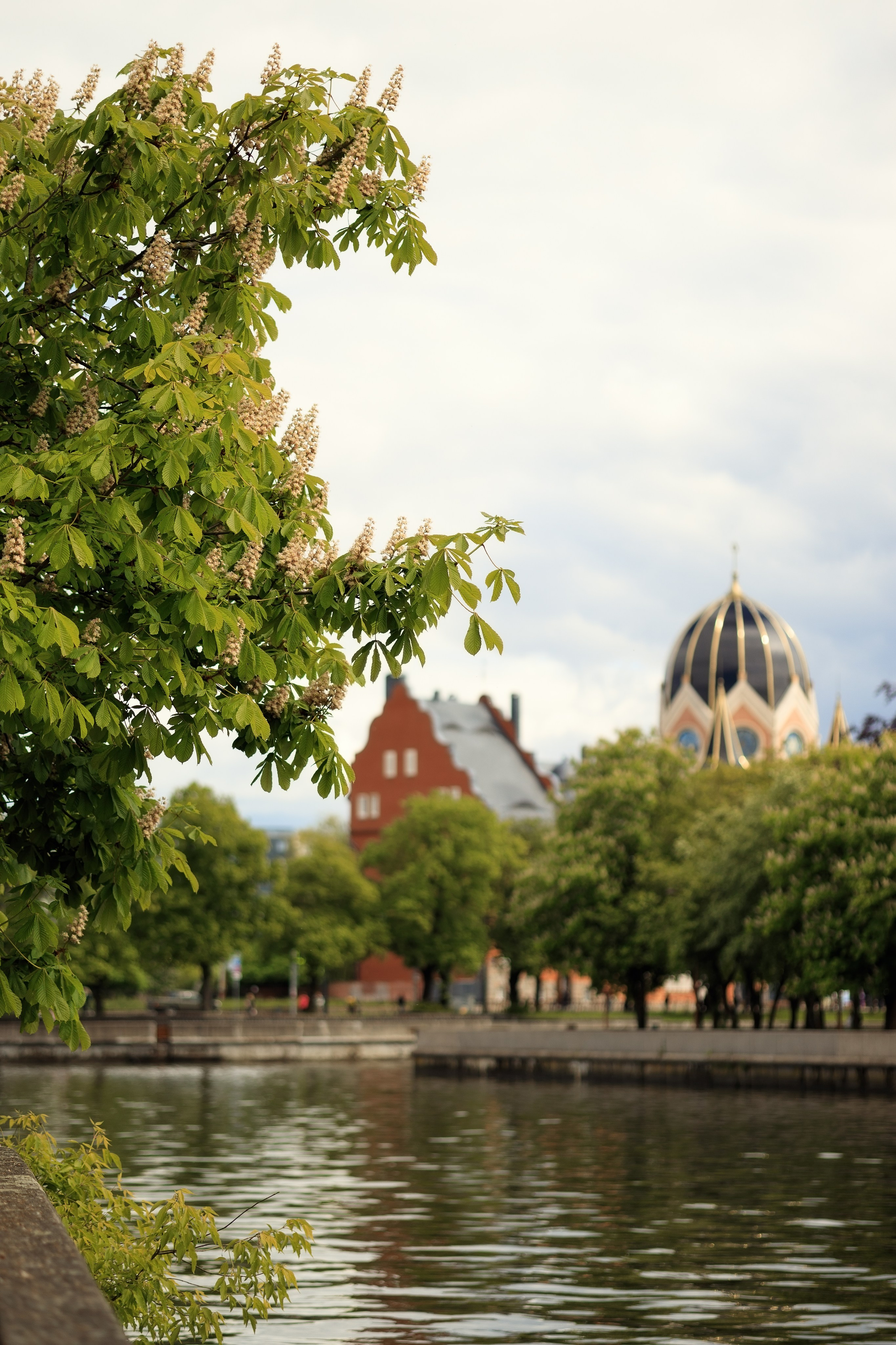 Королевство цветущих каштанов. Семейный фотограф в Калининграде Надежда Гриднева