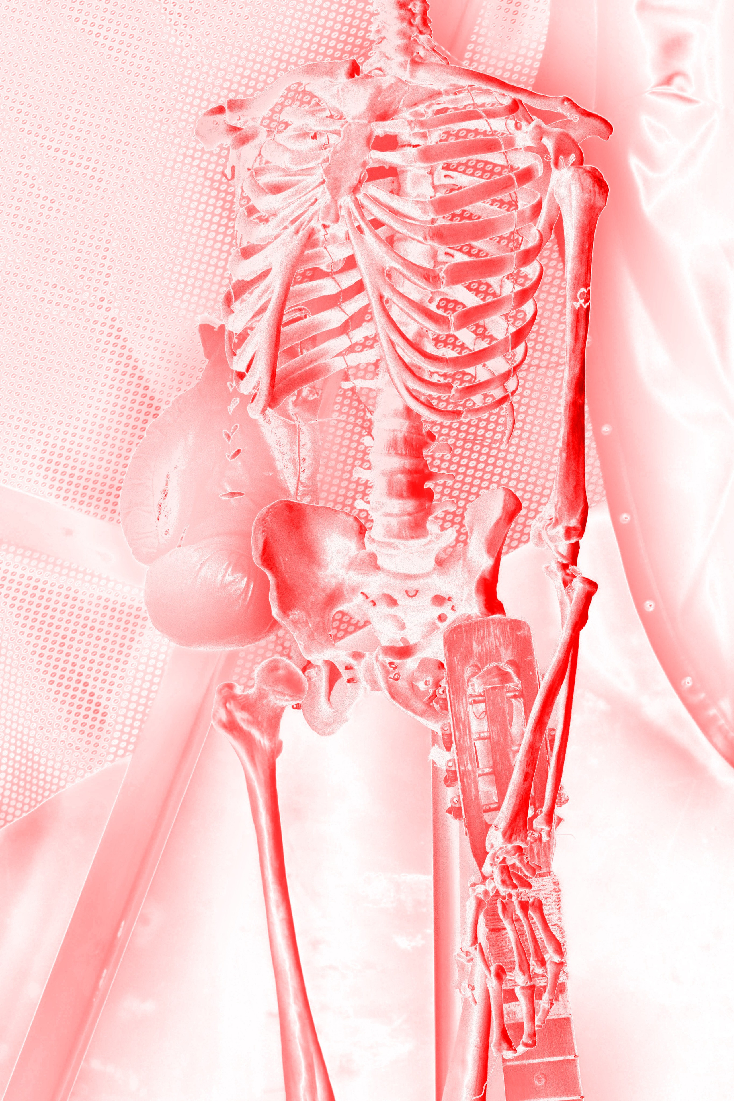 Творческое портфолио