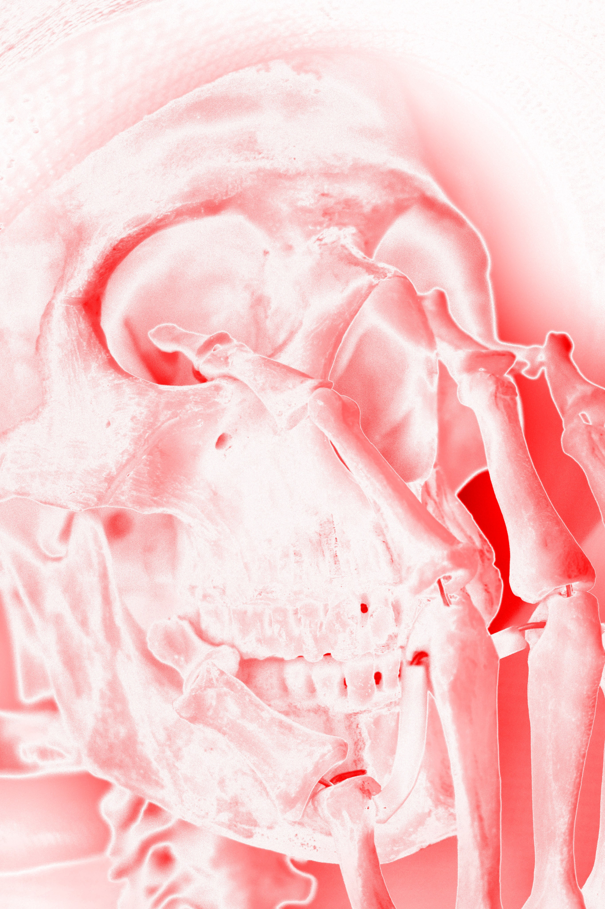 Творческое портфолио