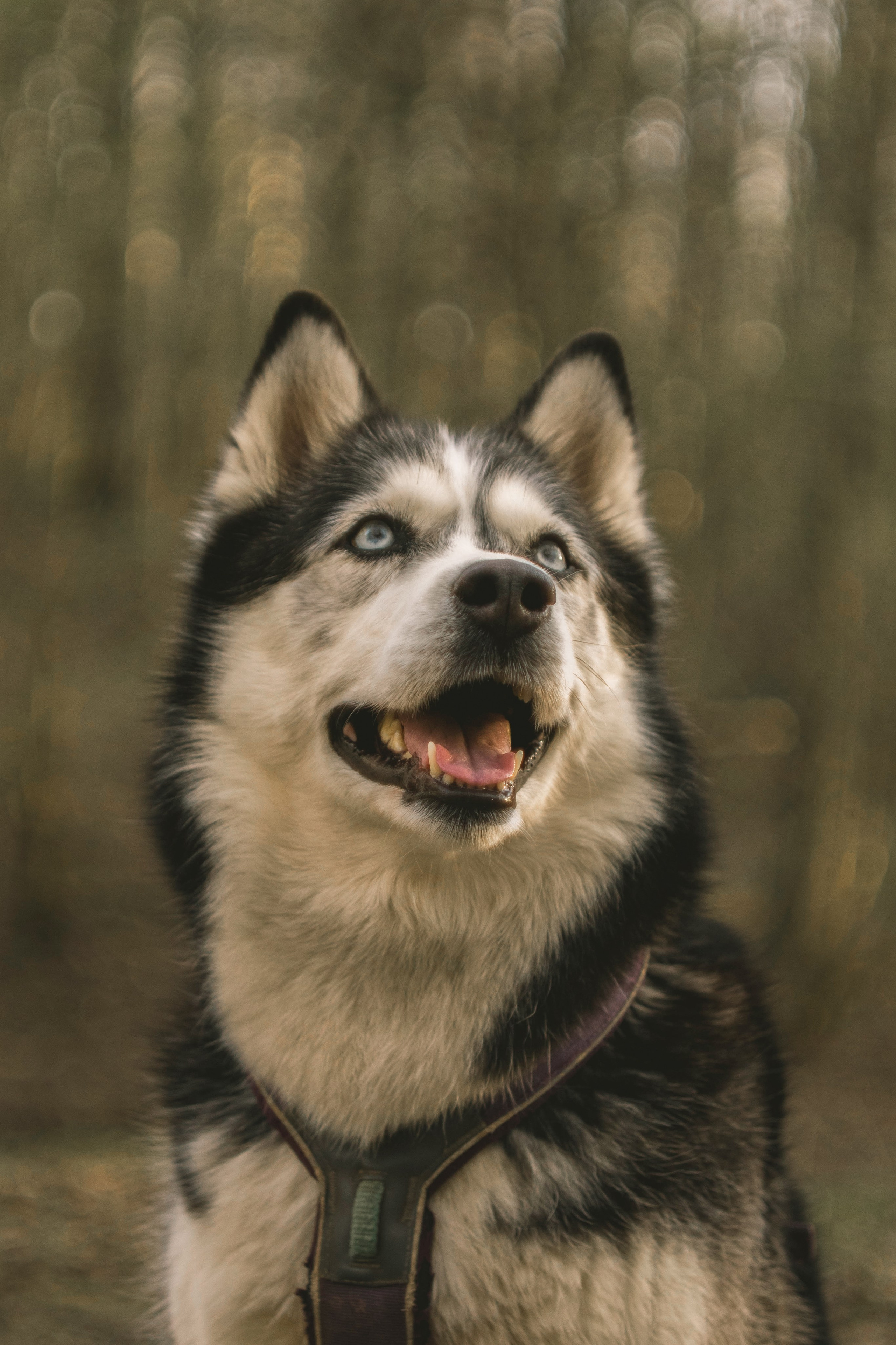 Цена и запись. Varezhka photo | фотограф для души