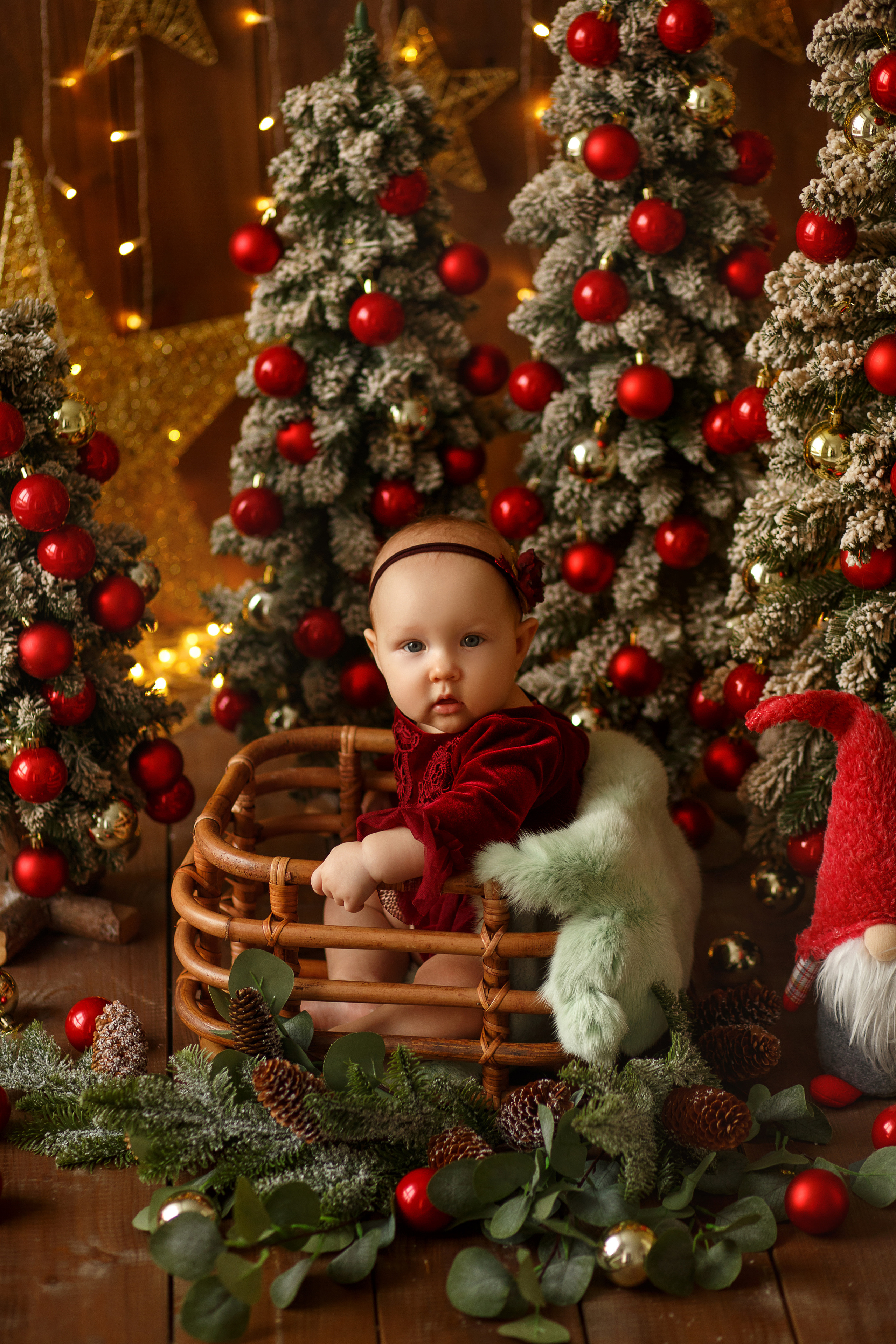 Новогодние открытки. Фотограф новорожденных в Ульяновске Татьяна Соболева