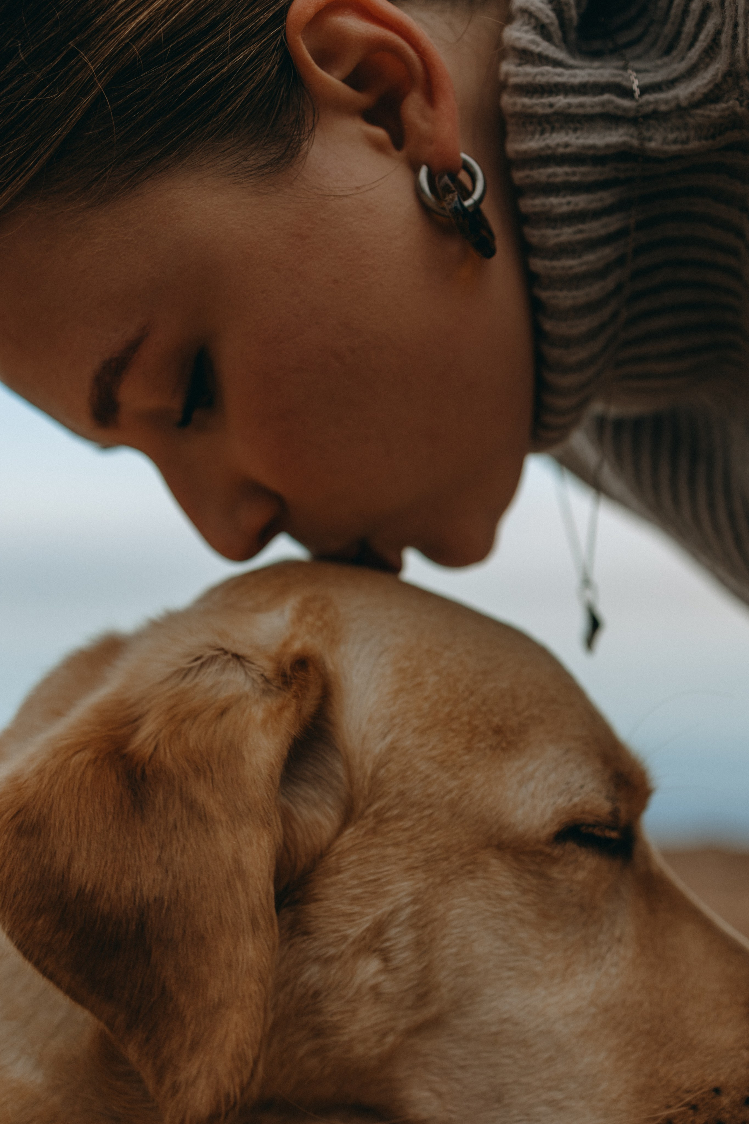 Консультация. Фотограф — Анималист | Санкт-Петербург