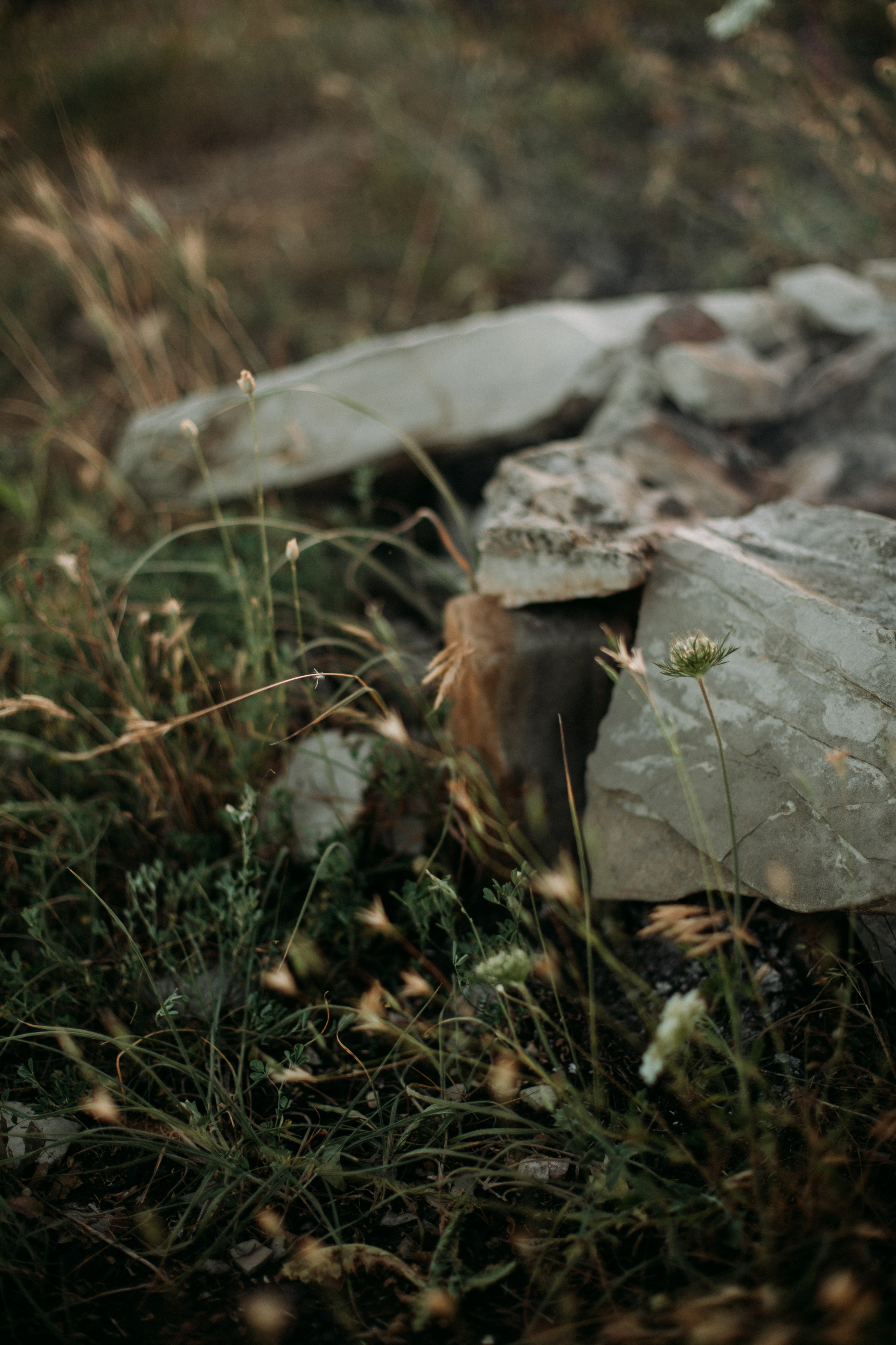Дороги земли ветров. Портретный фотограф в Москве и Геленджике Кирилл Вахитов