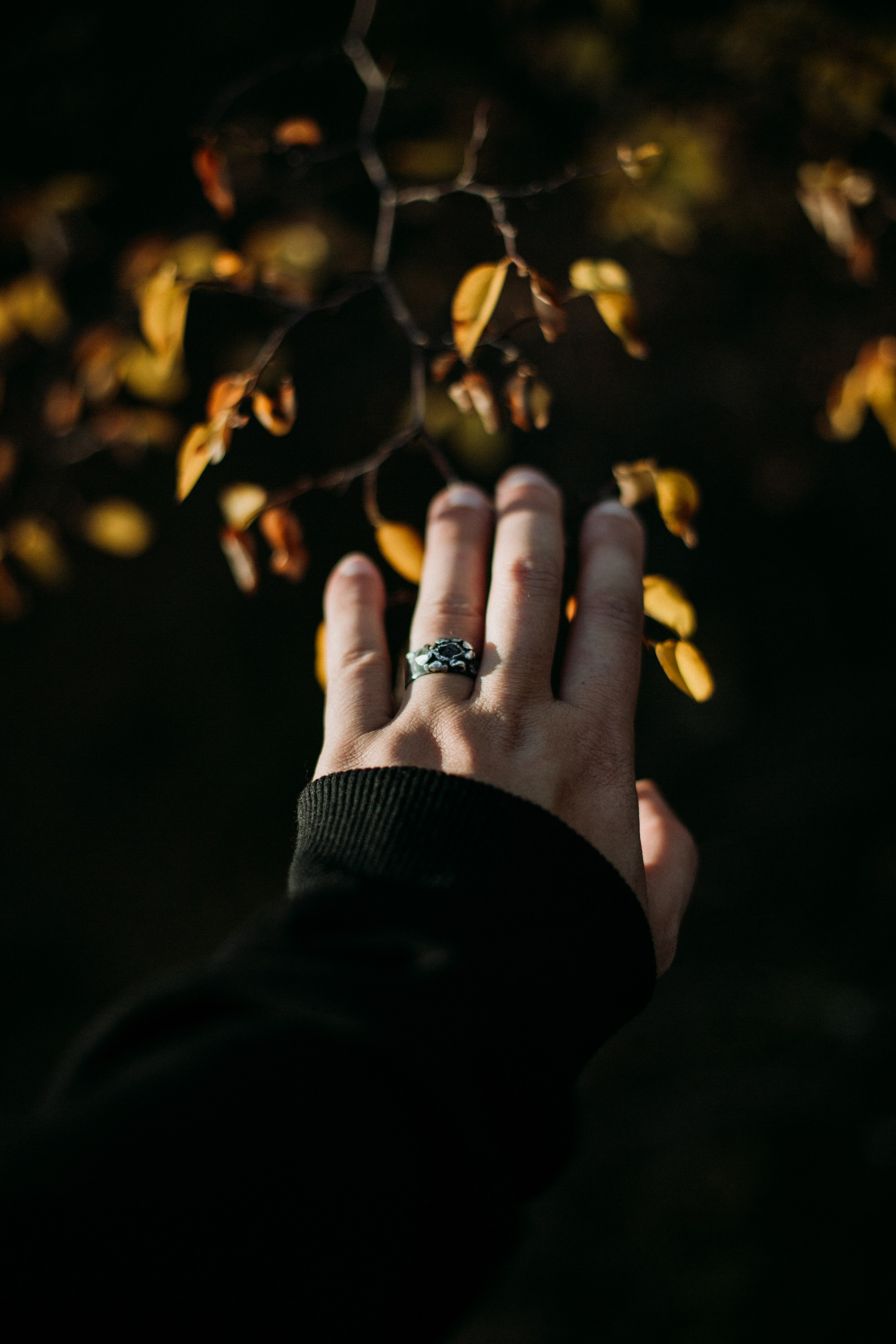 Психолог Кирилл Вахитов