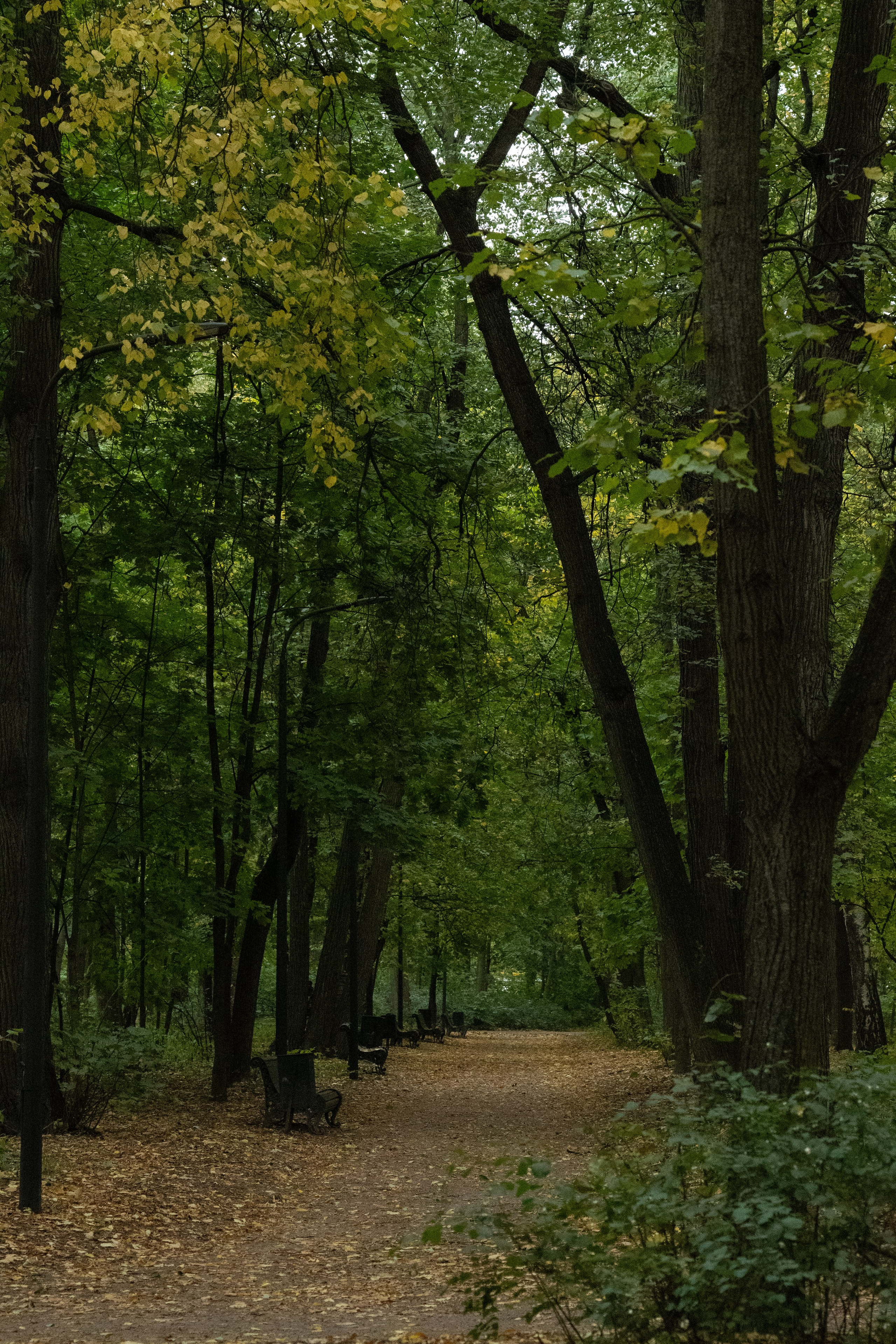 Услуги. ФОТОГРАФ КАРИНА КОРОЛЁВА