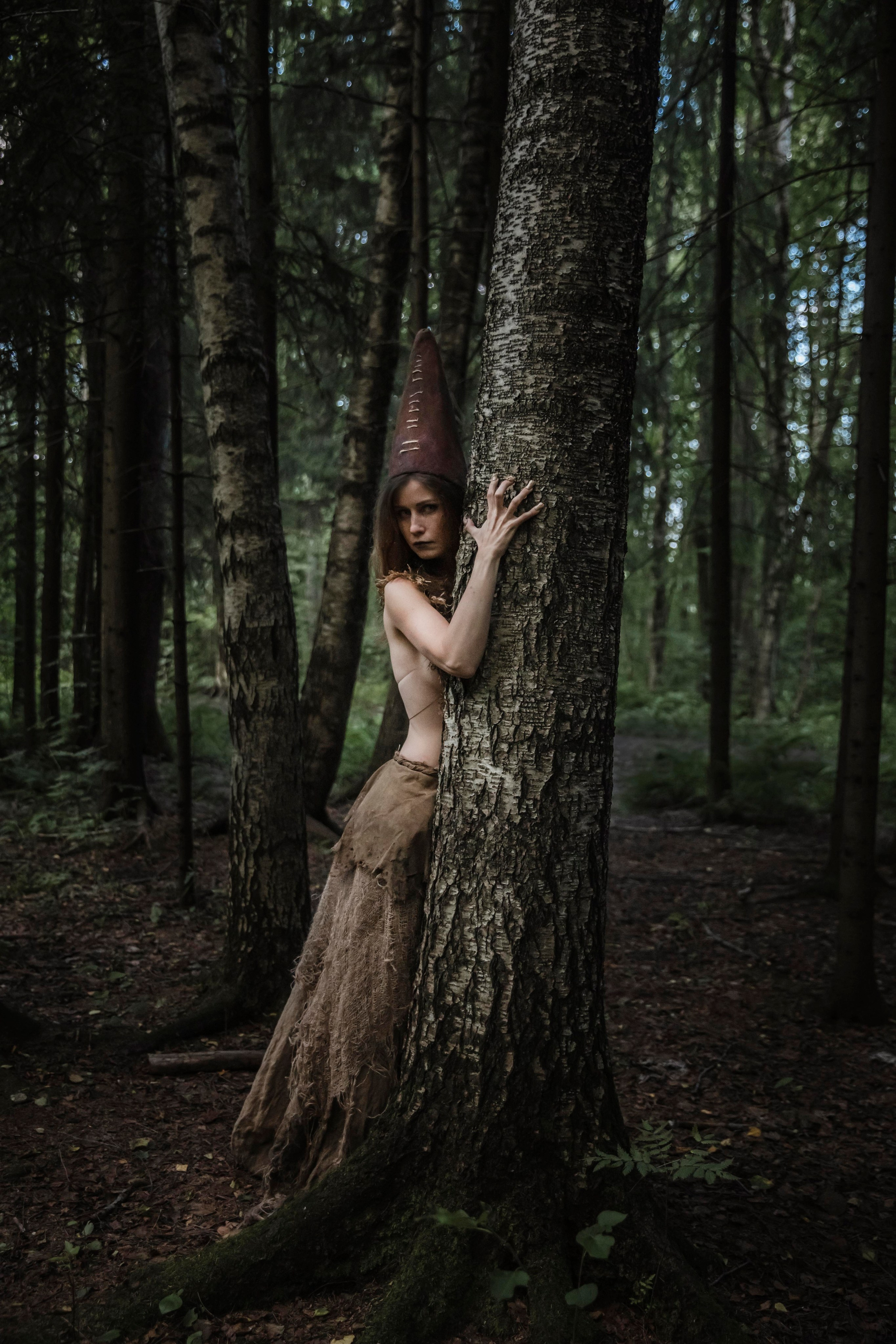 Dubrovina photo