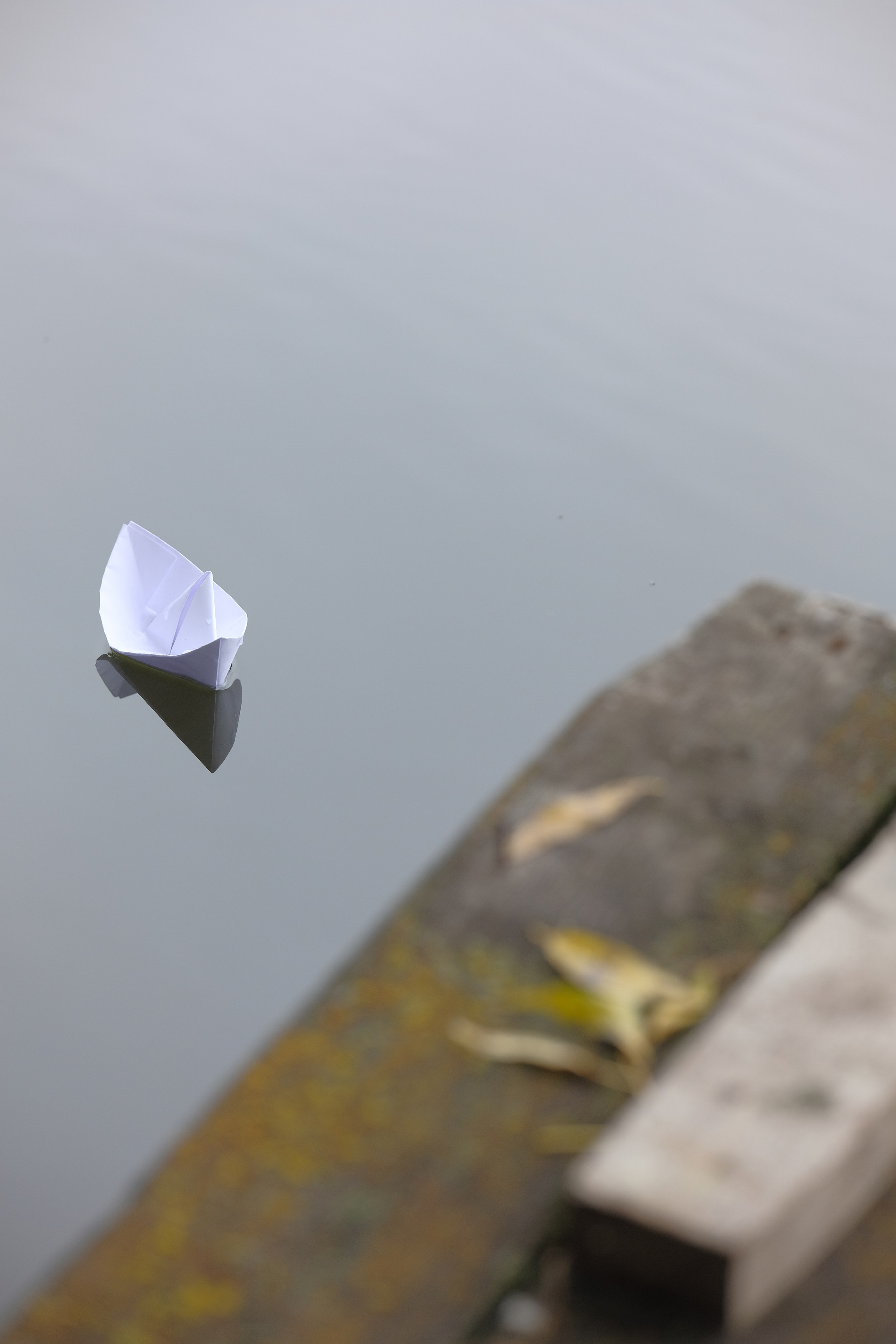 Лиза Рязанцева