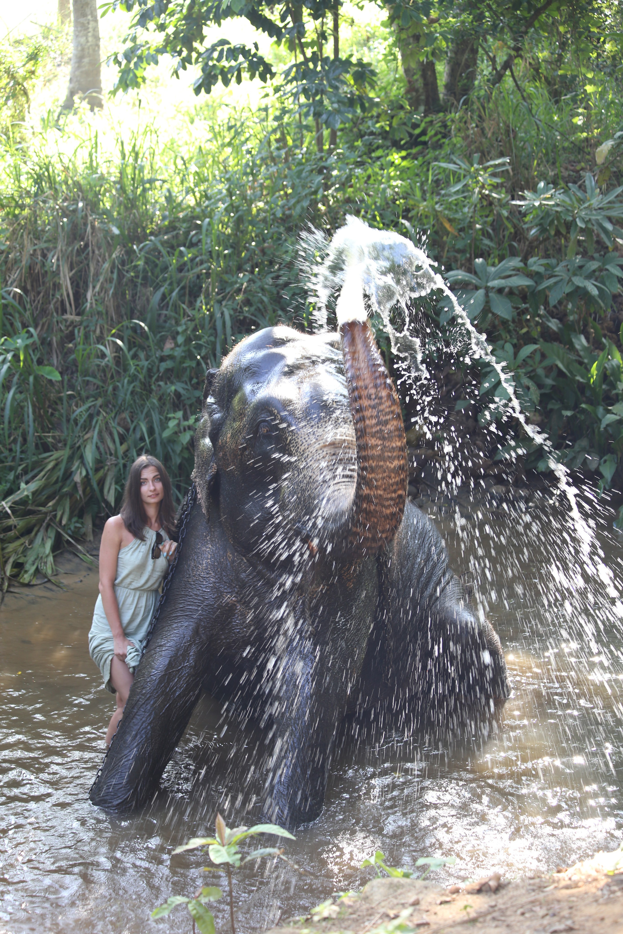 2017 — Шри — Ланка. OneSnap