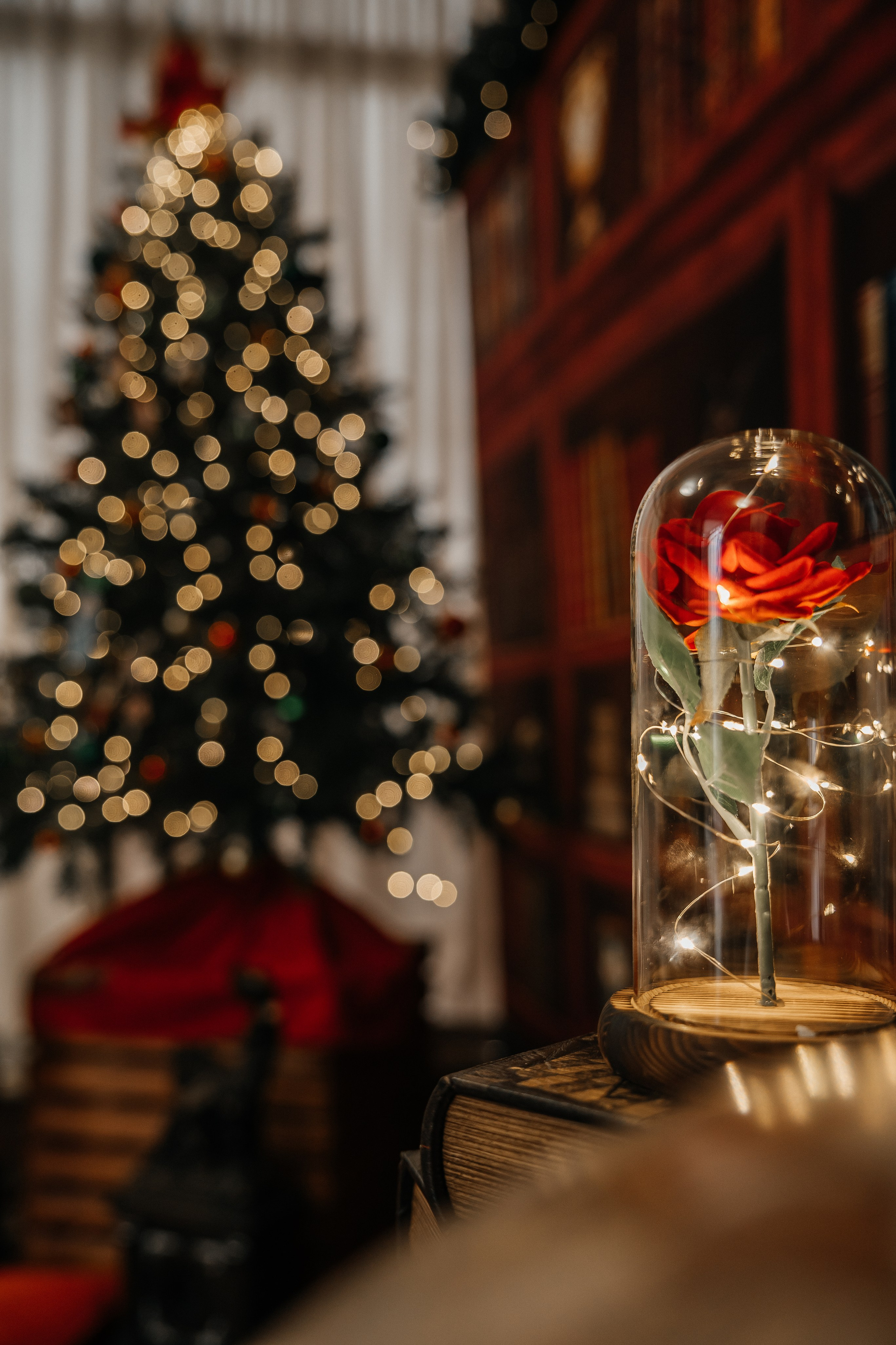 Услуги. Главная